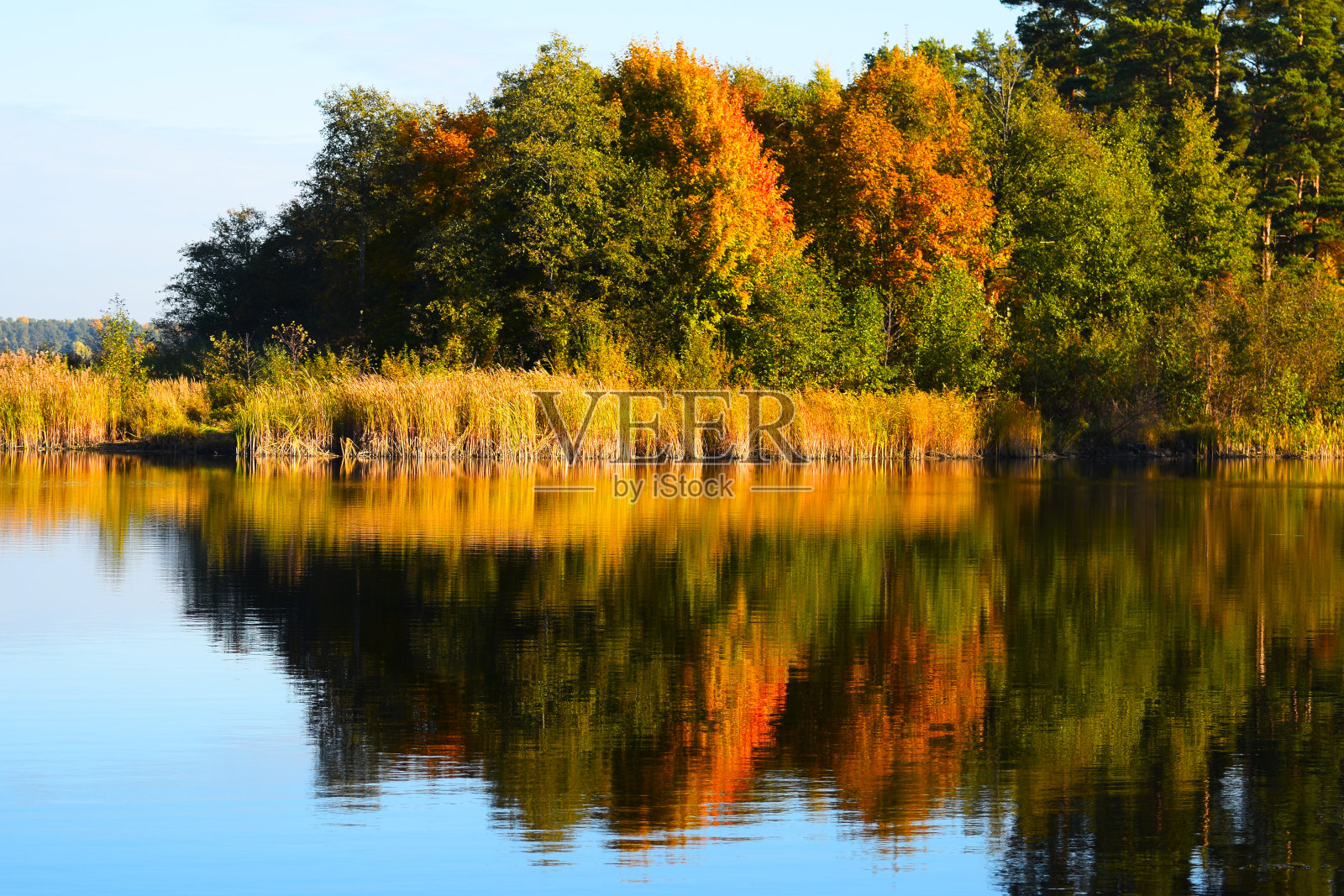 秋天来到拉脱维亚的一个湖上照片摄影图片