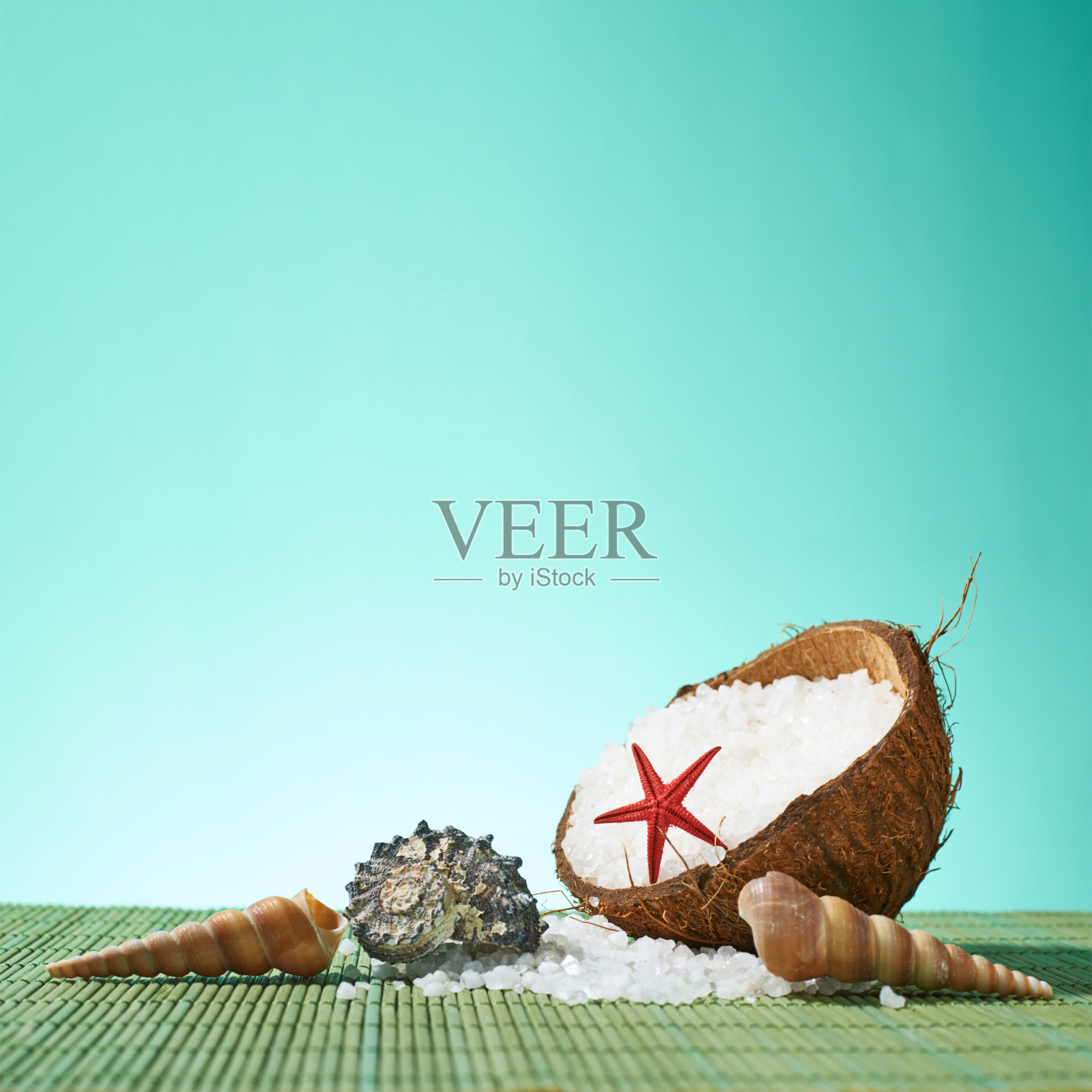 贝壳和椰子壳组成照片摄影图片