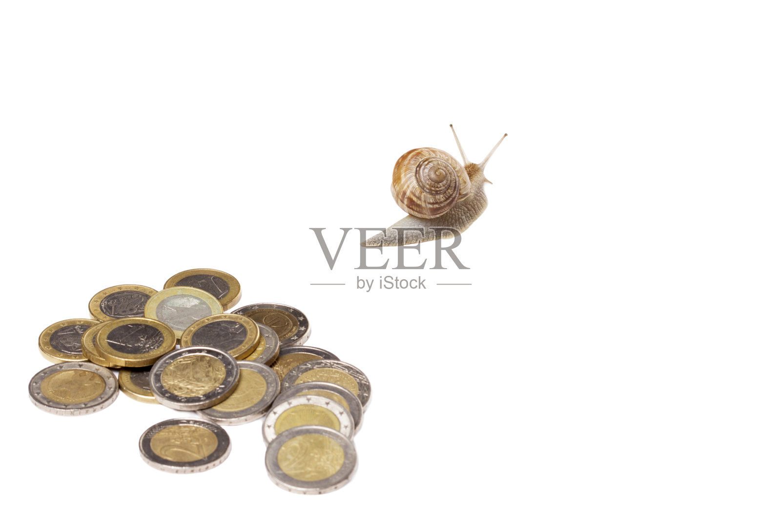 蜗牛和硬币堆照片摄影图片