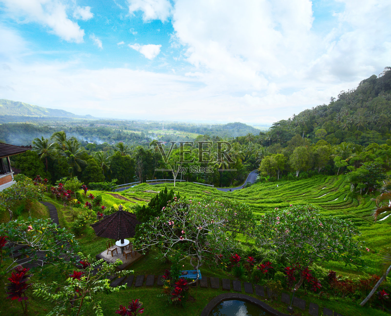 大米照片摄影图片