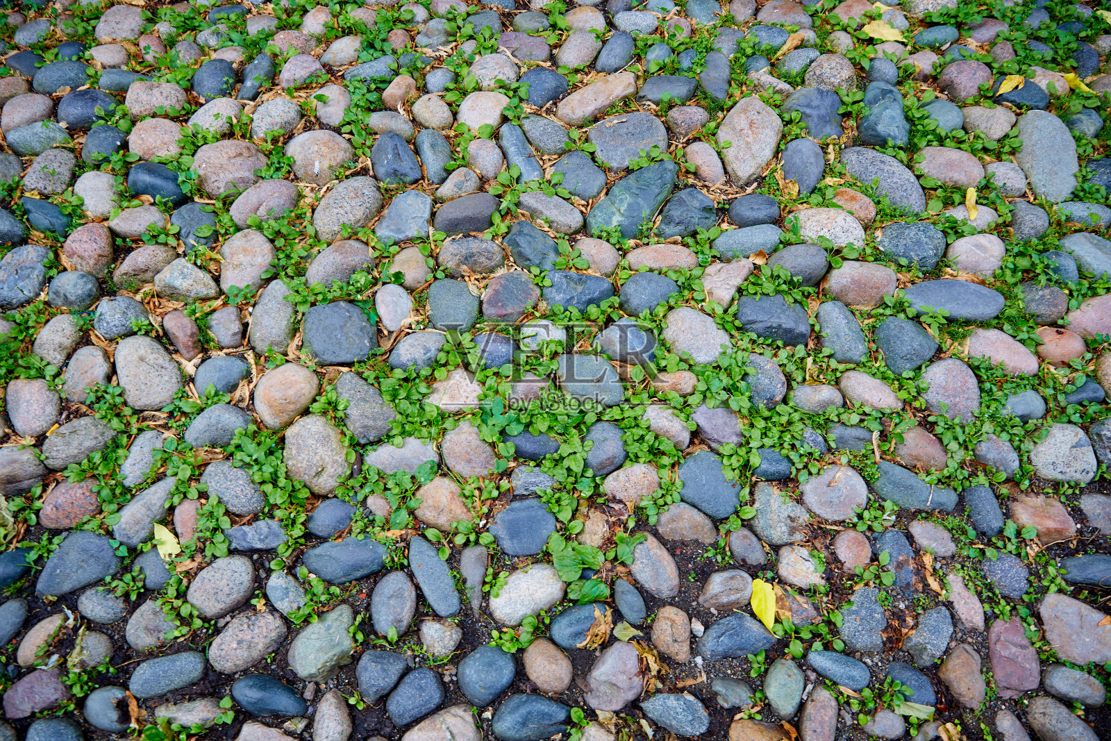 橡子街，马萨诸塞州波士顿的灯塔山照片摄影图片
