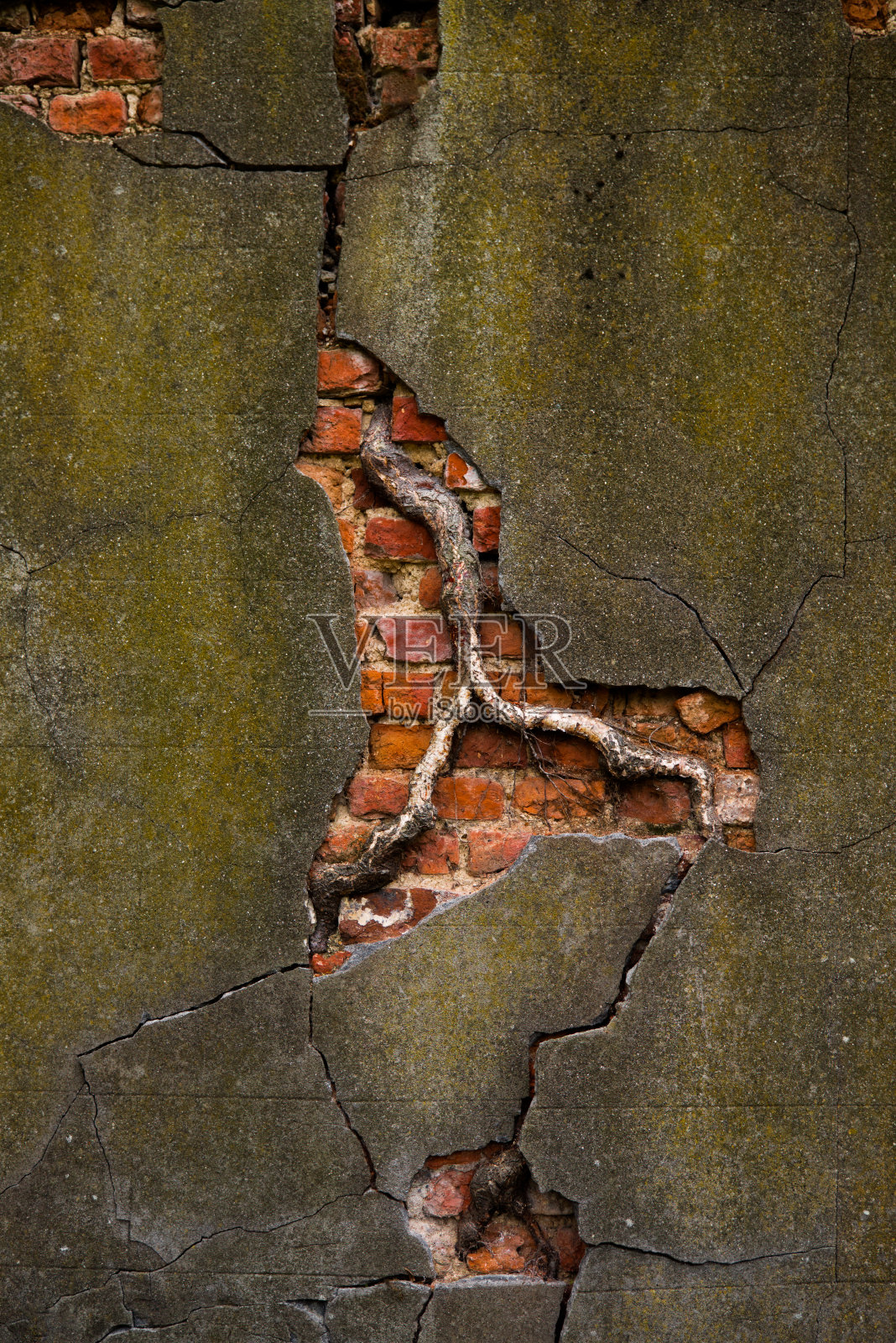 突破肖像照片摄影图片