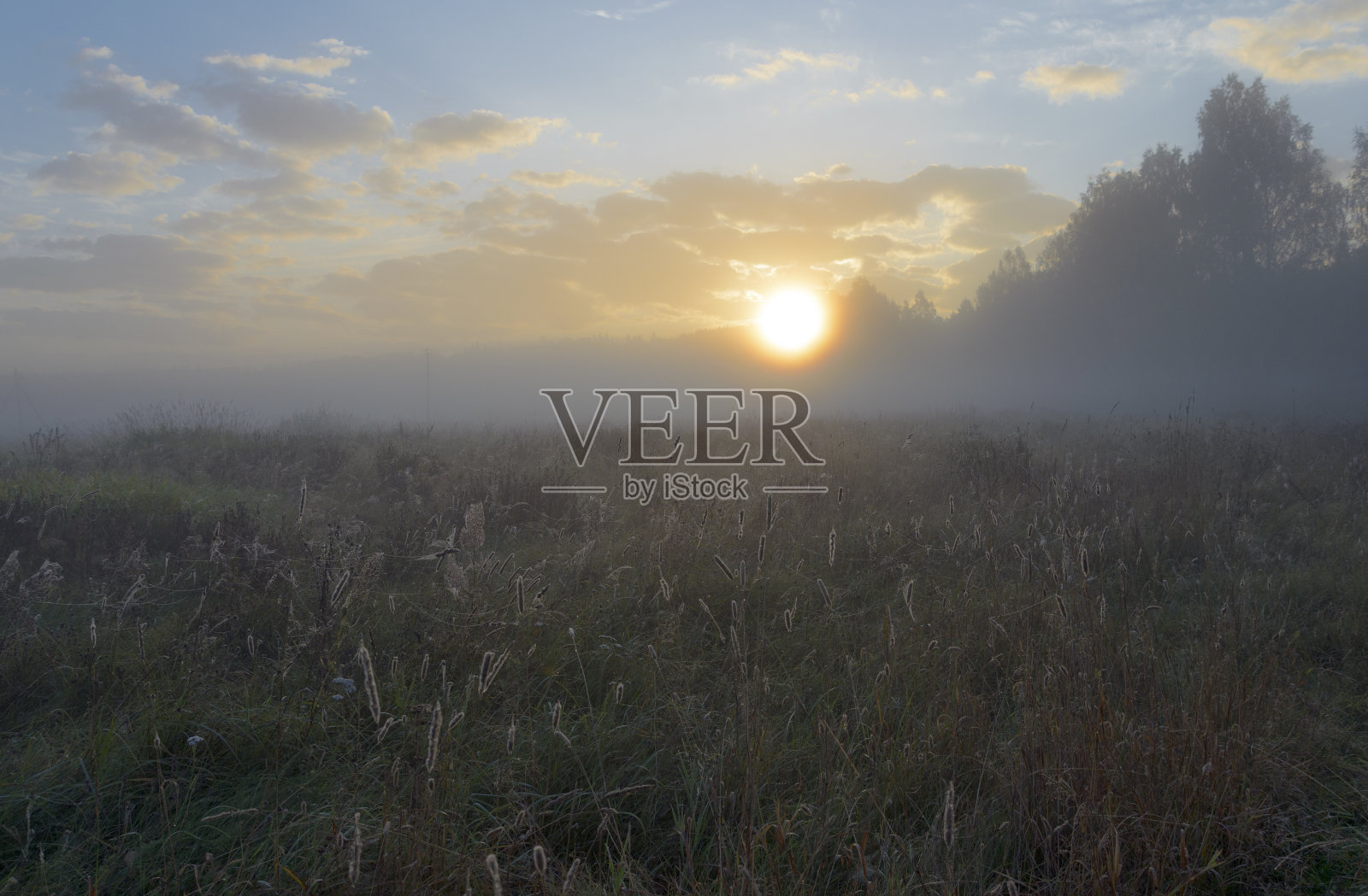 秋天的早晨照片摄影图片