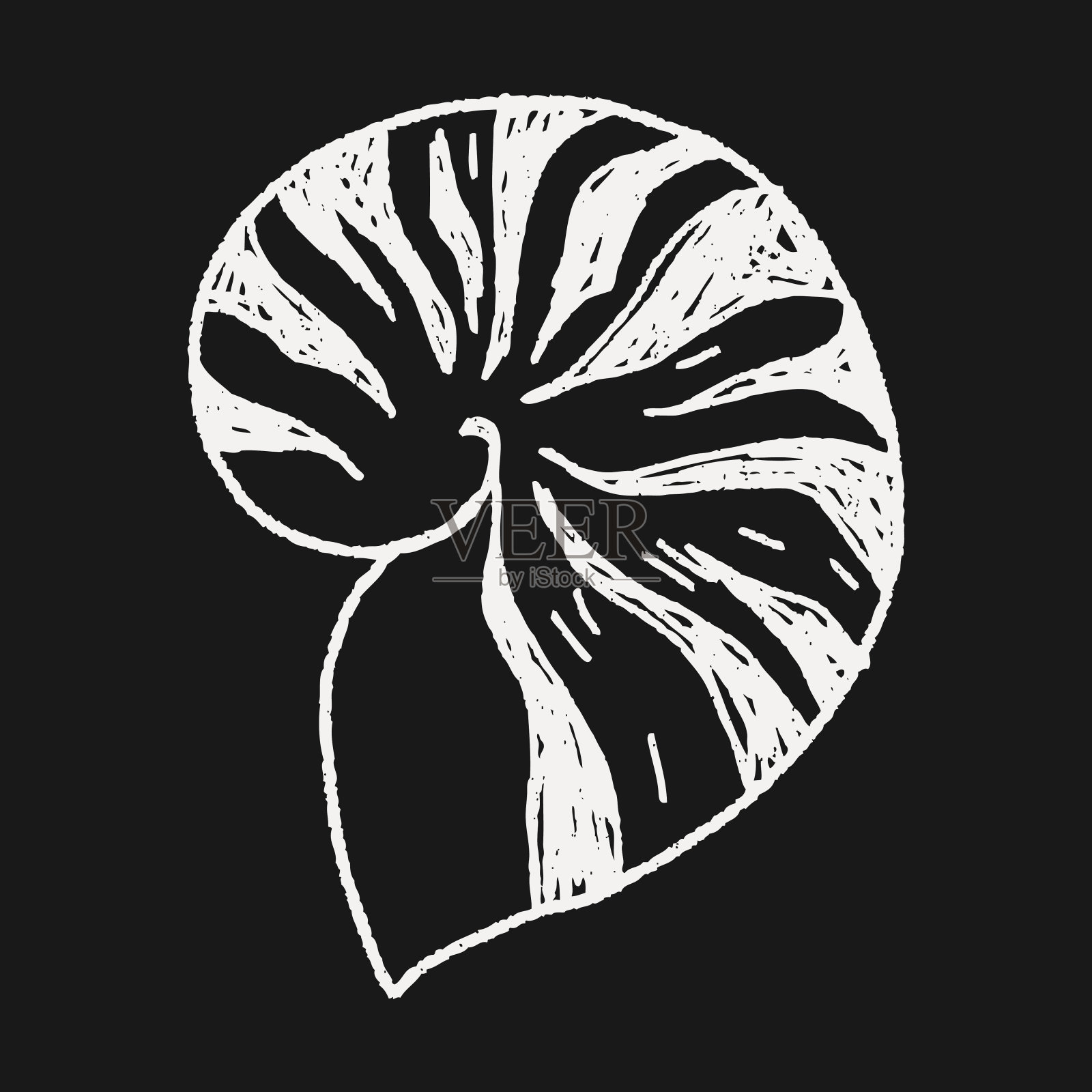 壳牌涂鸦插画图片素材