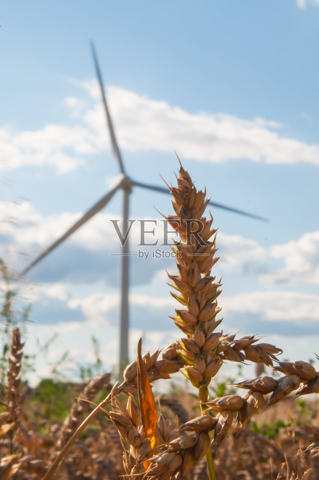 田野里的风力涡轮机照片摄影图片