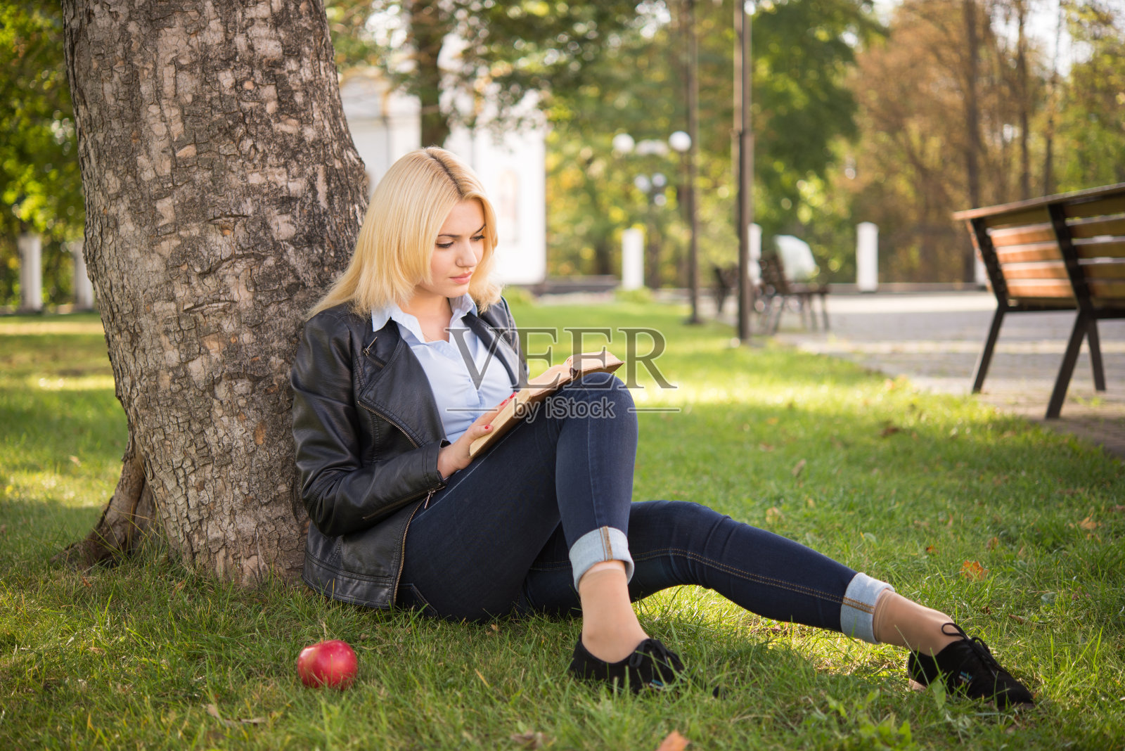 一个漂亮的女孩坐在树下看书照片摄影图片