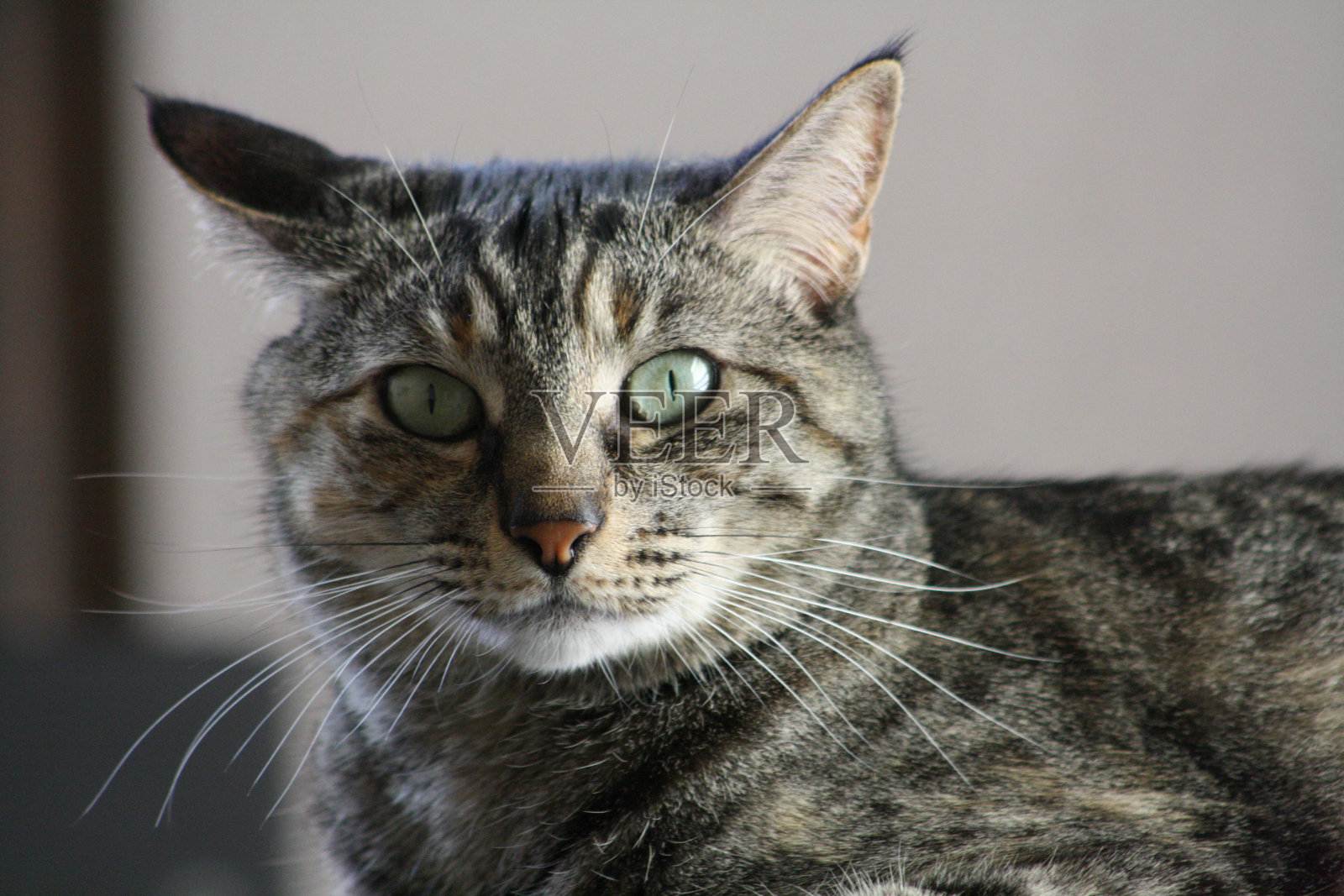 灾难照片摄影图片