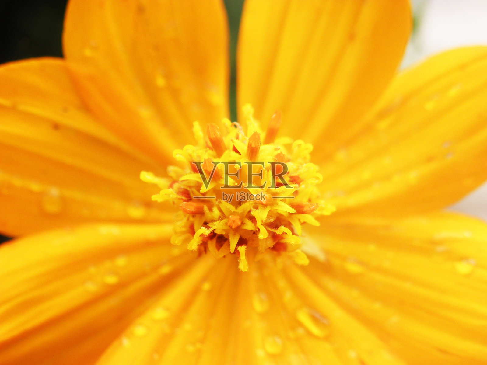 宇宙照片摄影图片