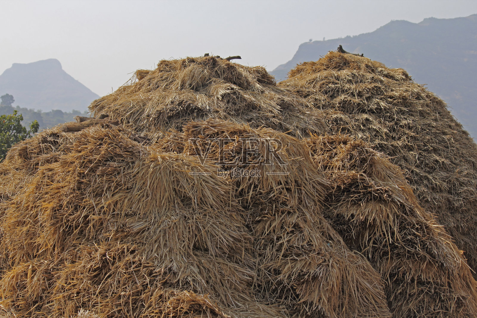 干草堆照片摄影图片
