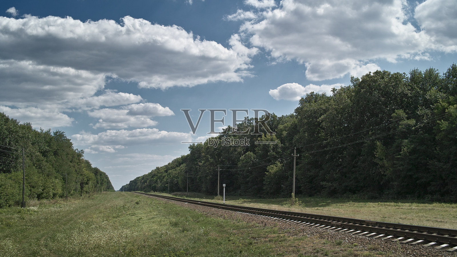 夏日森林里的铁路线照片摄影图片