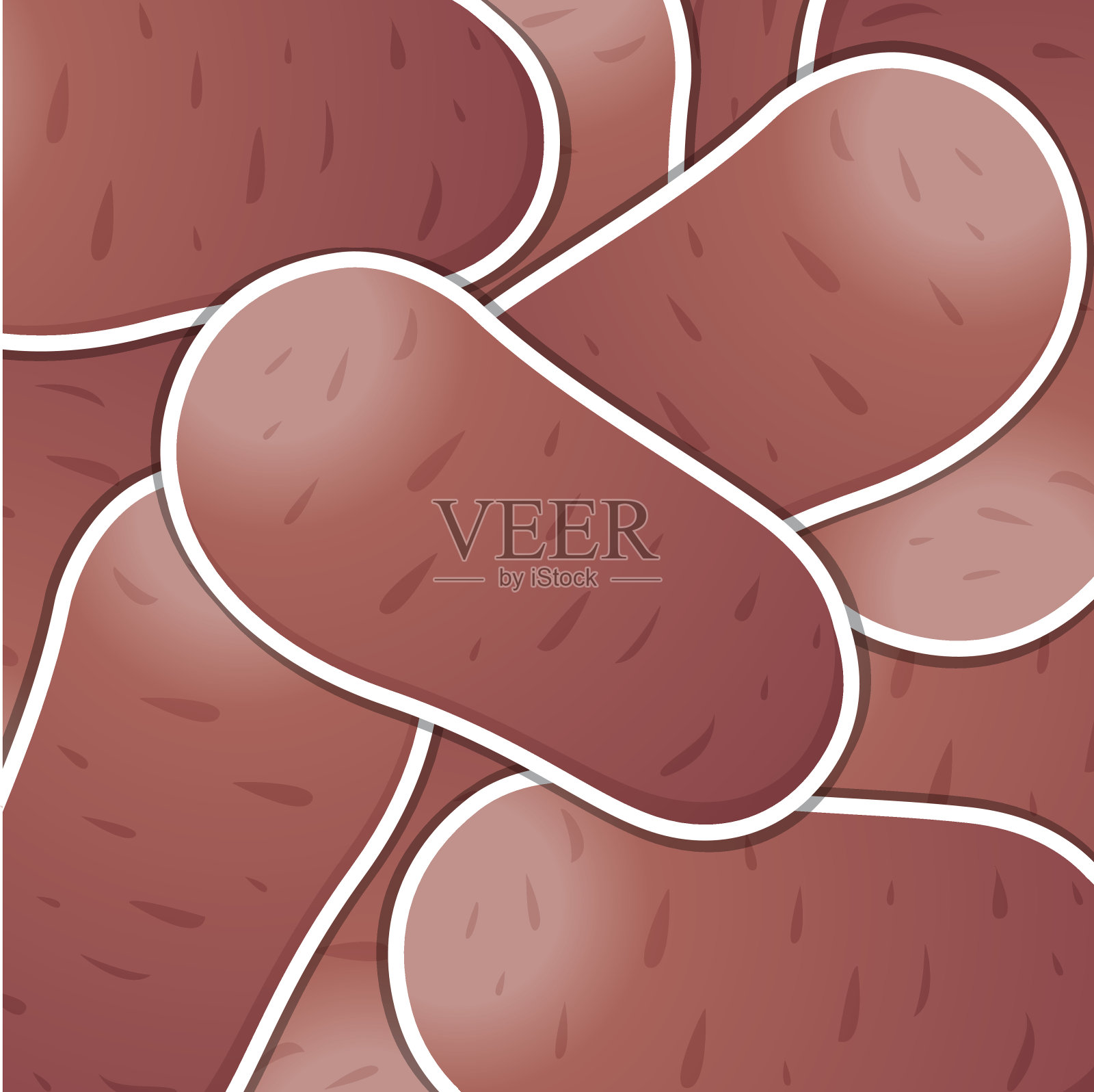 Desiree土豆背景/卡片矢量格式。插画图片素材