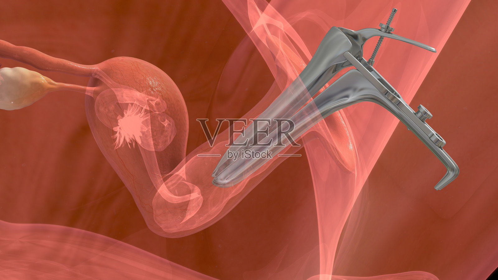 胚胎移植照片摄影图片