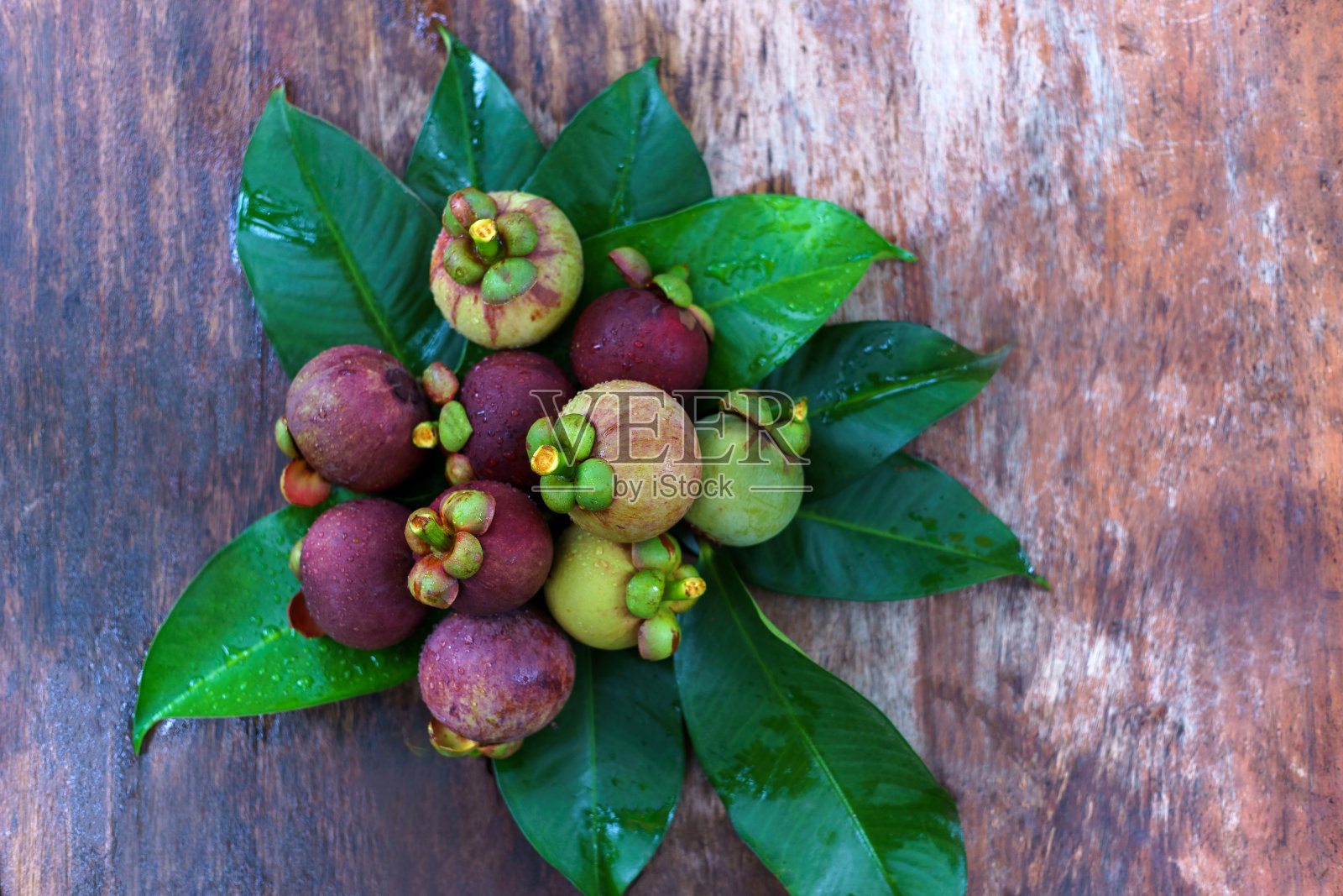 山竹果在表照片摄影图片