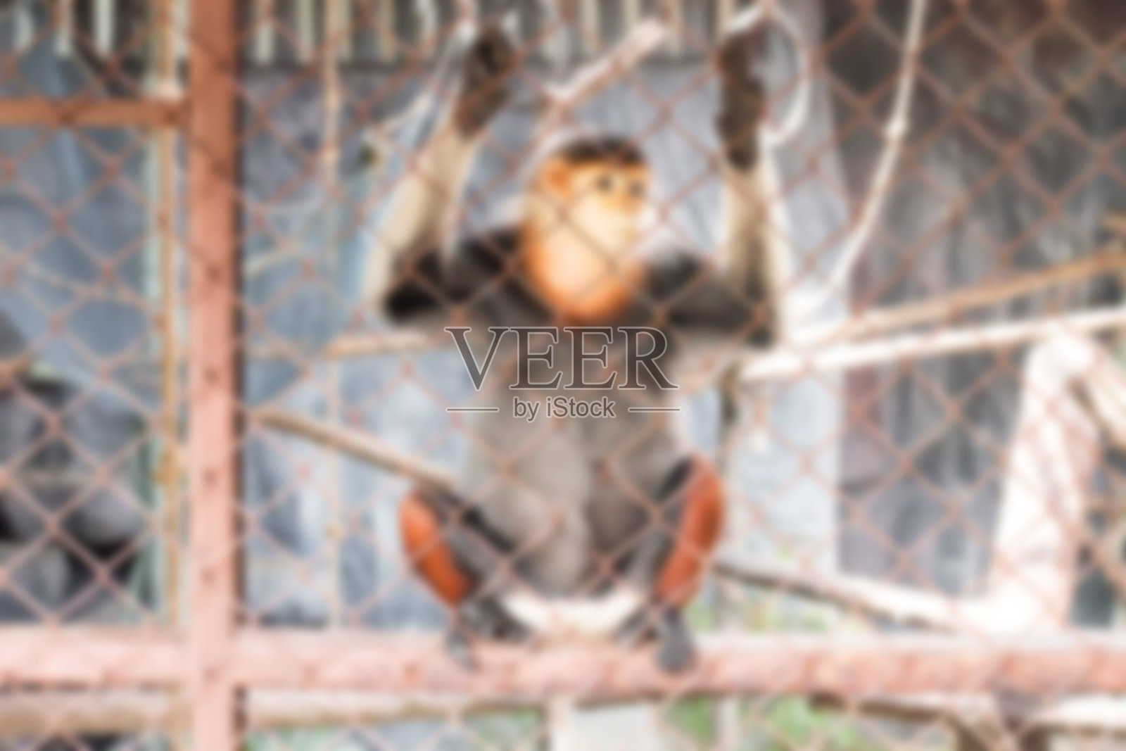 猴子在笼子里缺乏自由高斯模糊照片摄影图片