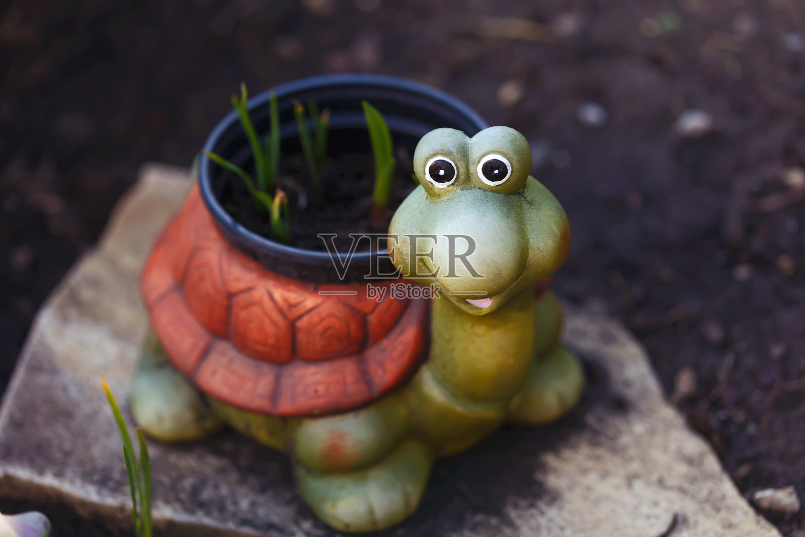 花园里微笑的陶瓷乌龟照片摄影图片