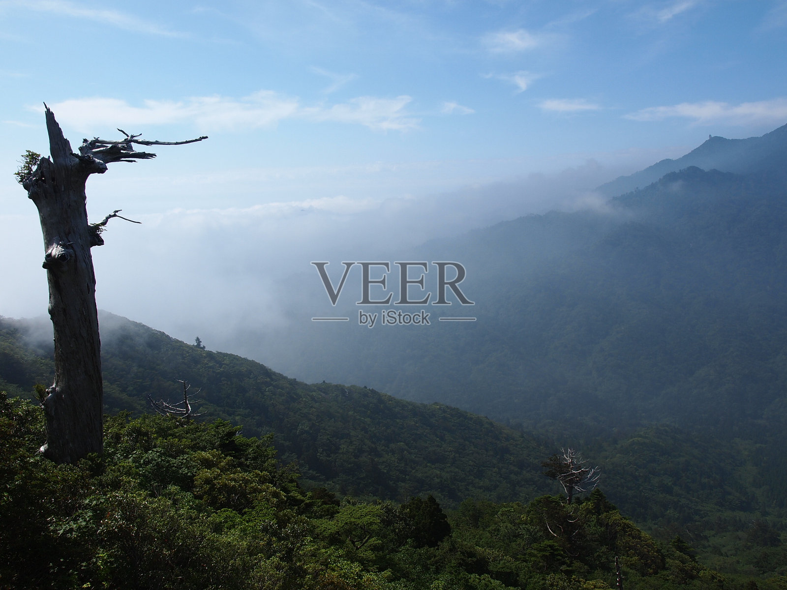 太和瓦照片摄影图片