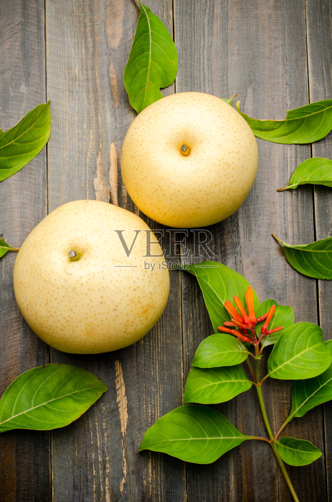 亚洲梨照片摄影图片