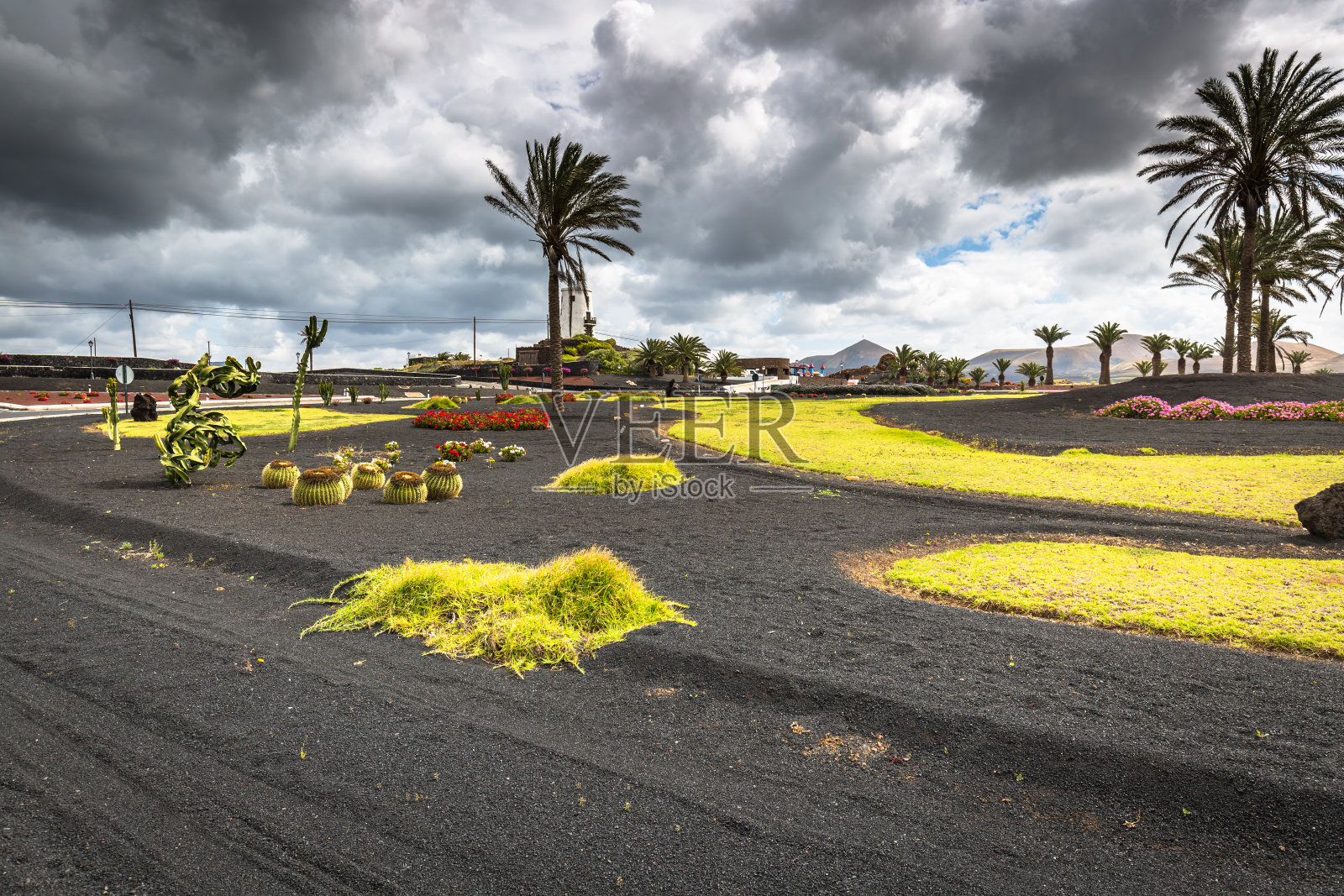 兰扎罗Yaiza村附近的环岛上有鲜花和棕榈树照片摄影图片