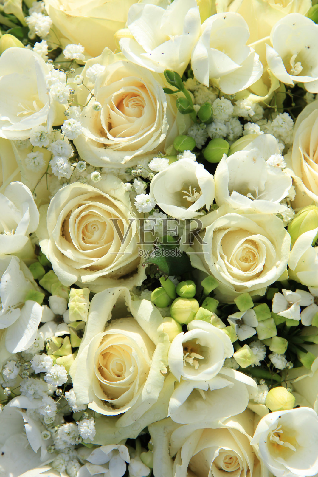 白色婚礼安排照片摄影图片