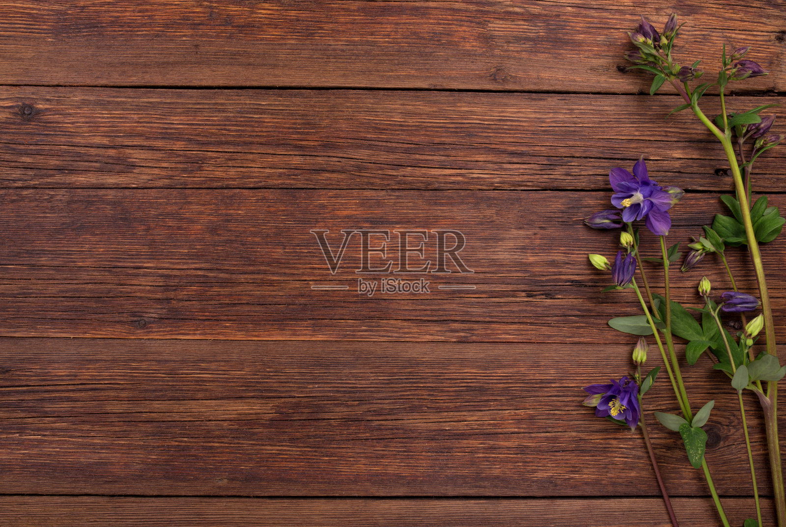 木桌上放着蓝铃花。俯视图，复制空间。照片摄影图片