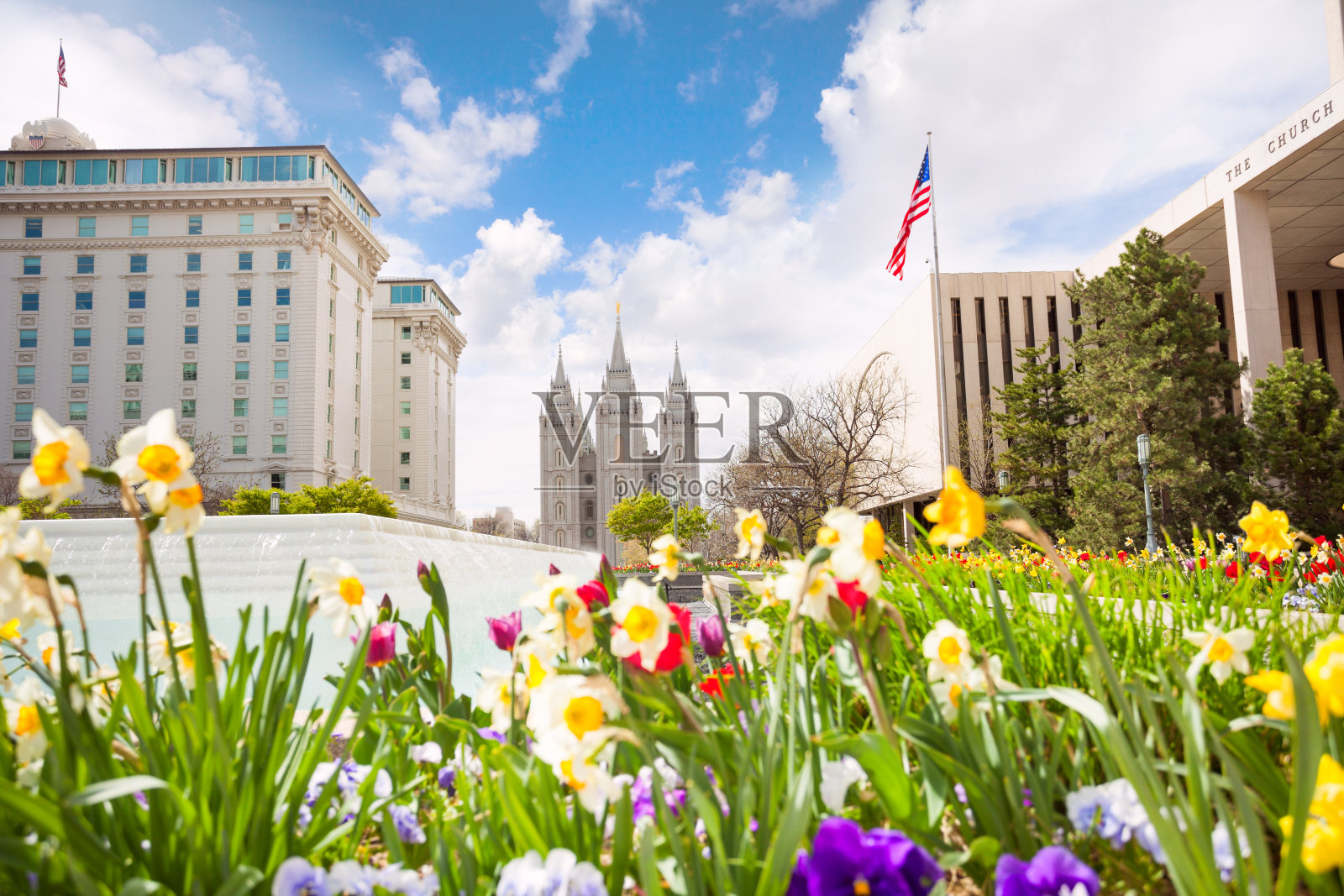 鲜花和美国盐湖城寺庙的特写照片摄影图片