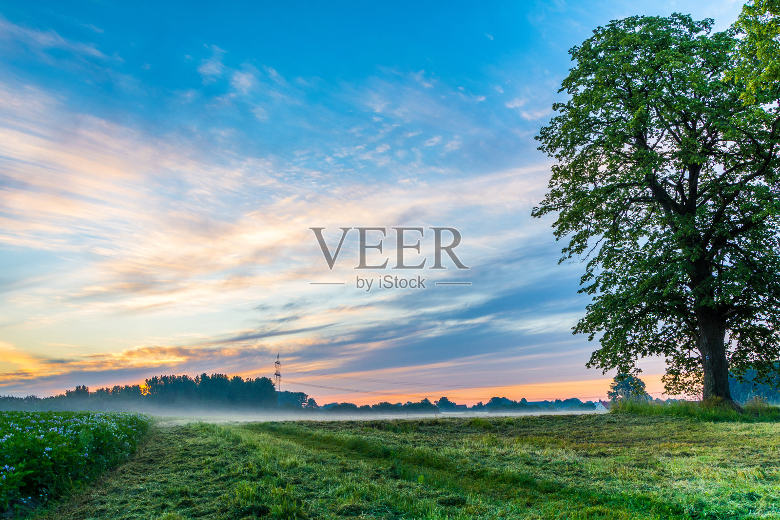 布劳 · 斯图德照片摄影图片