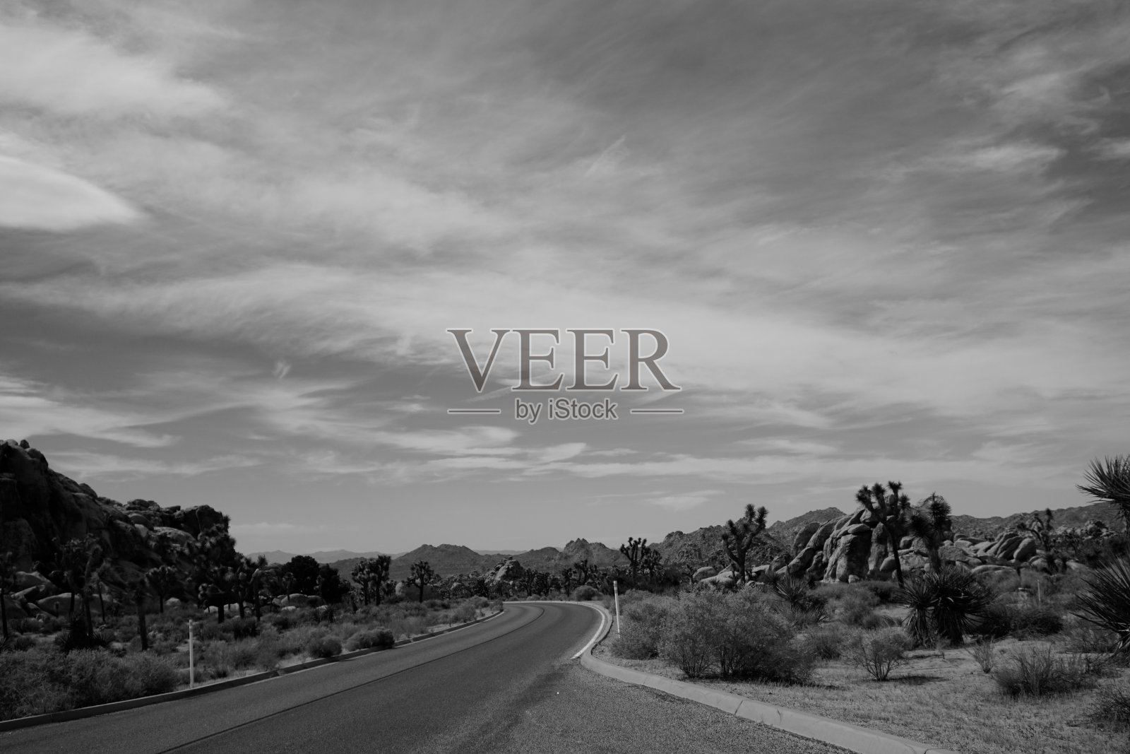 约书亚树之路照片摄影图片