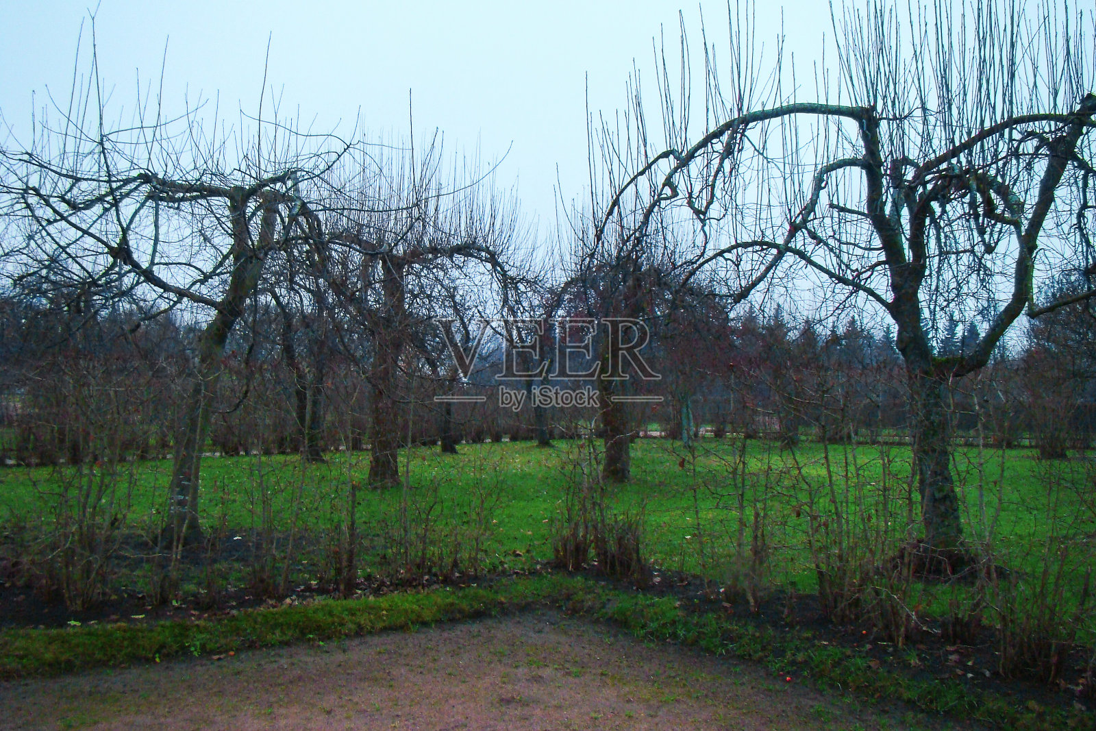 秋天的花园照片摄影图片