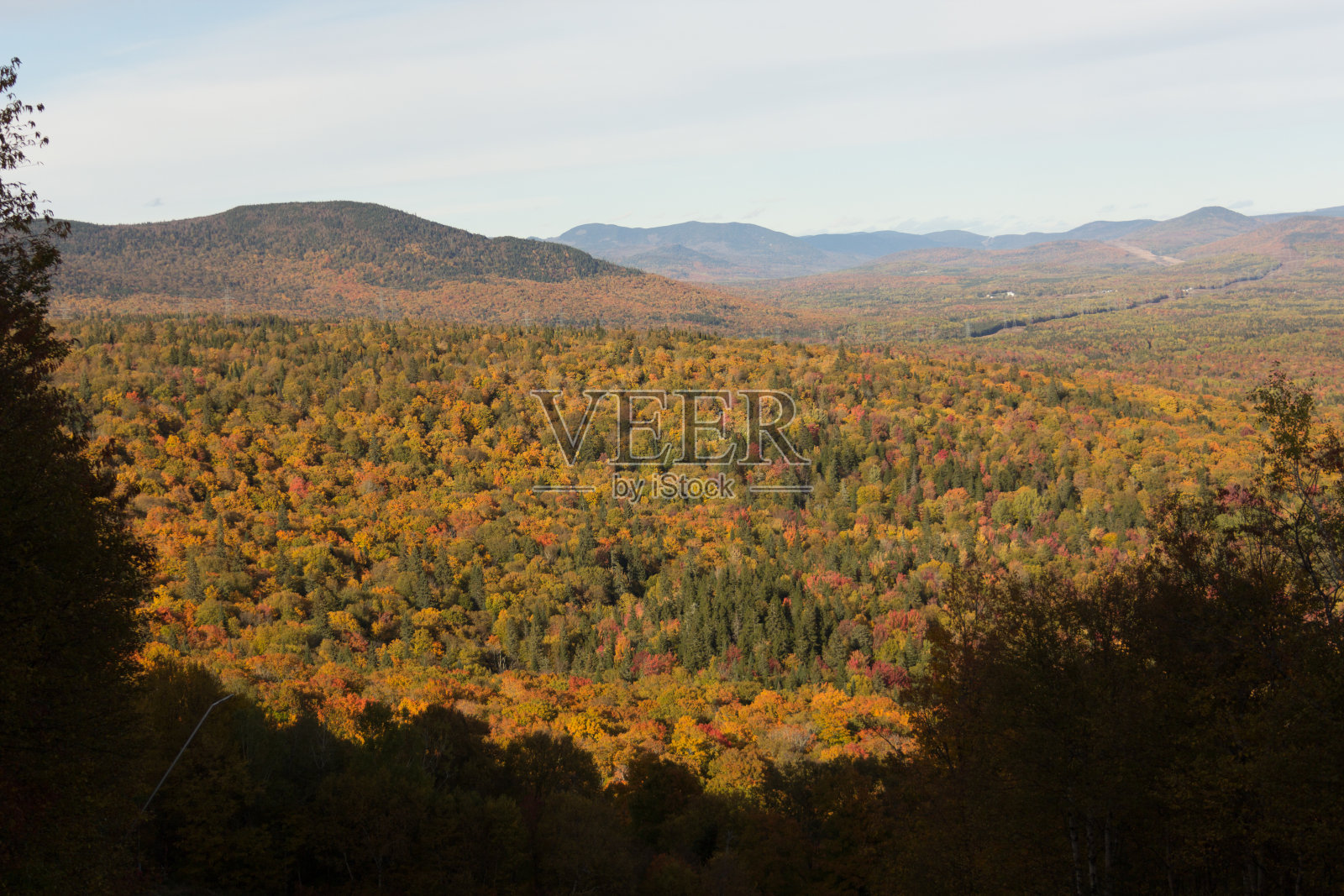 秋天的森林景观从山顶照片摄影图片