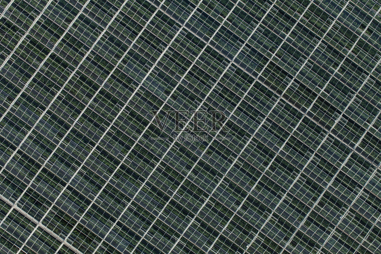 温室鸟瞰图照片摄影图片