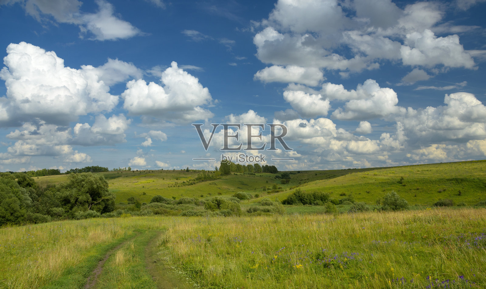 阳光明媚的夏天的风景照片摄影图片