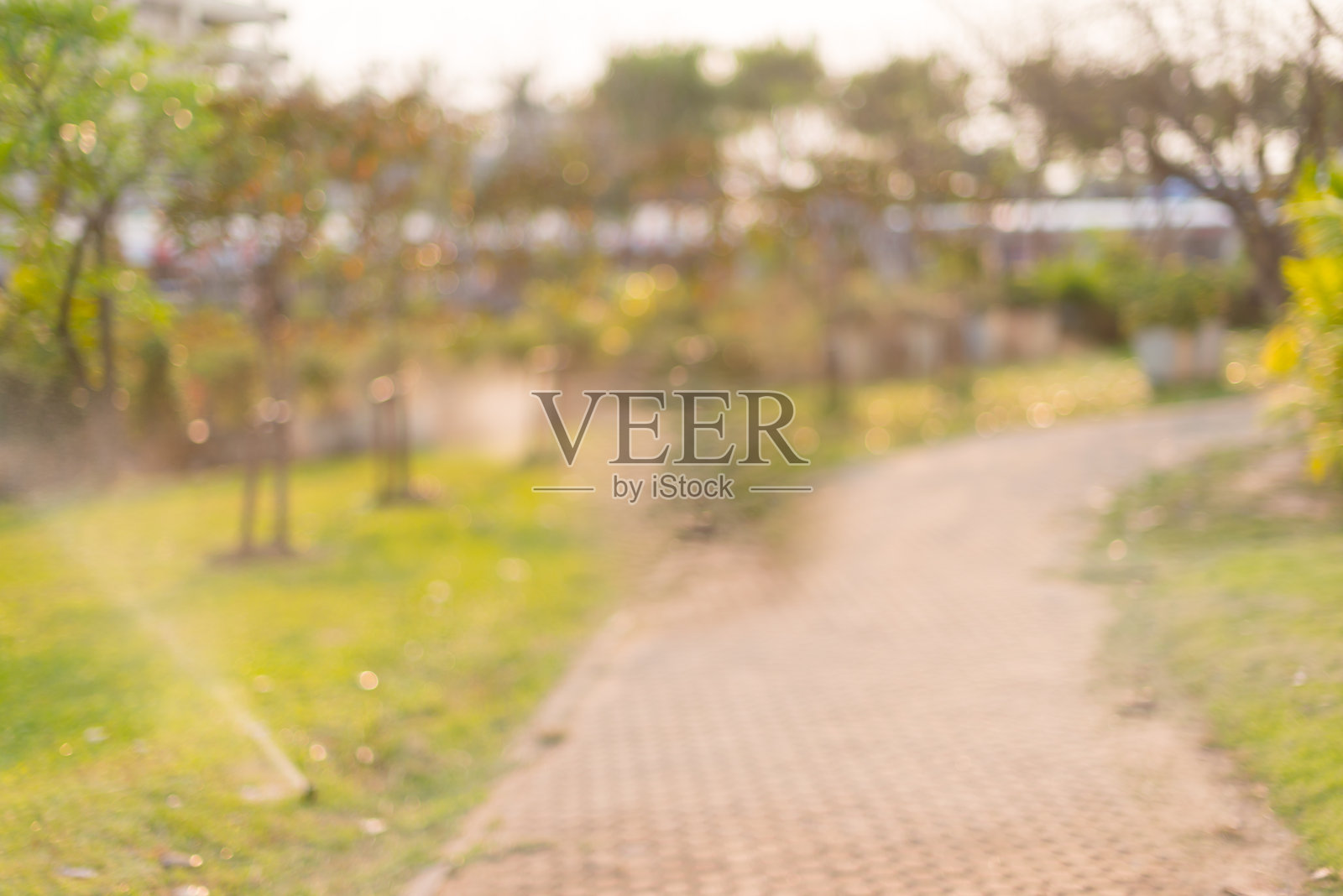 模糊焦点，花园步道照片摄影图片