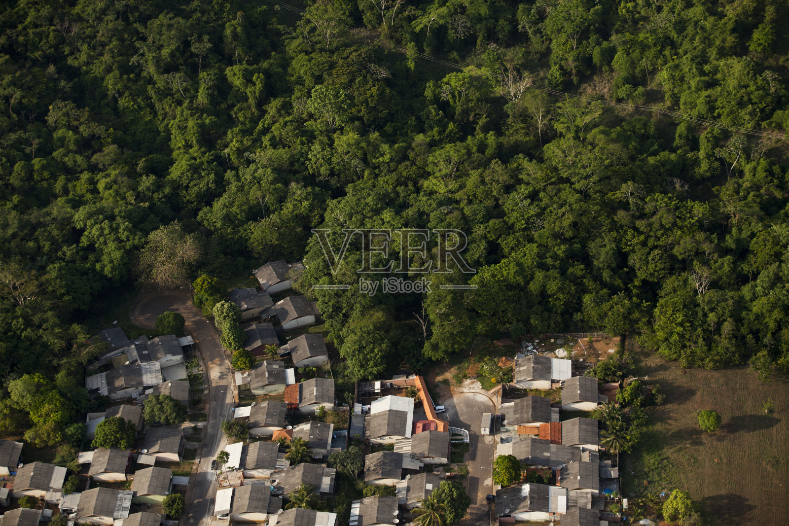 亚马逊照片摄影图片