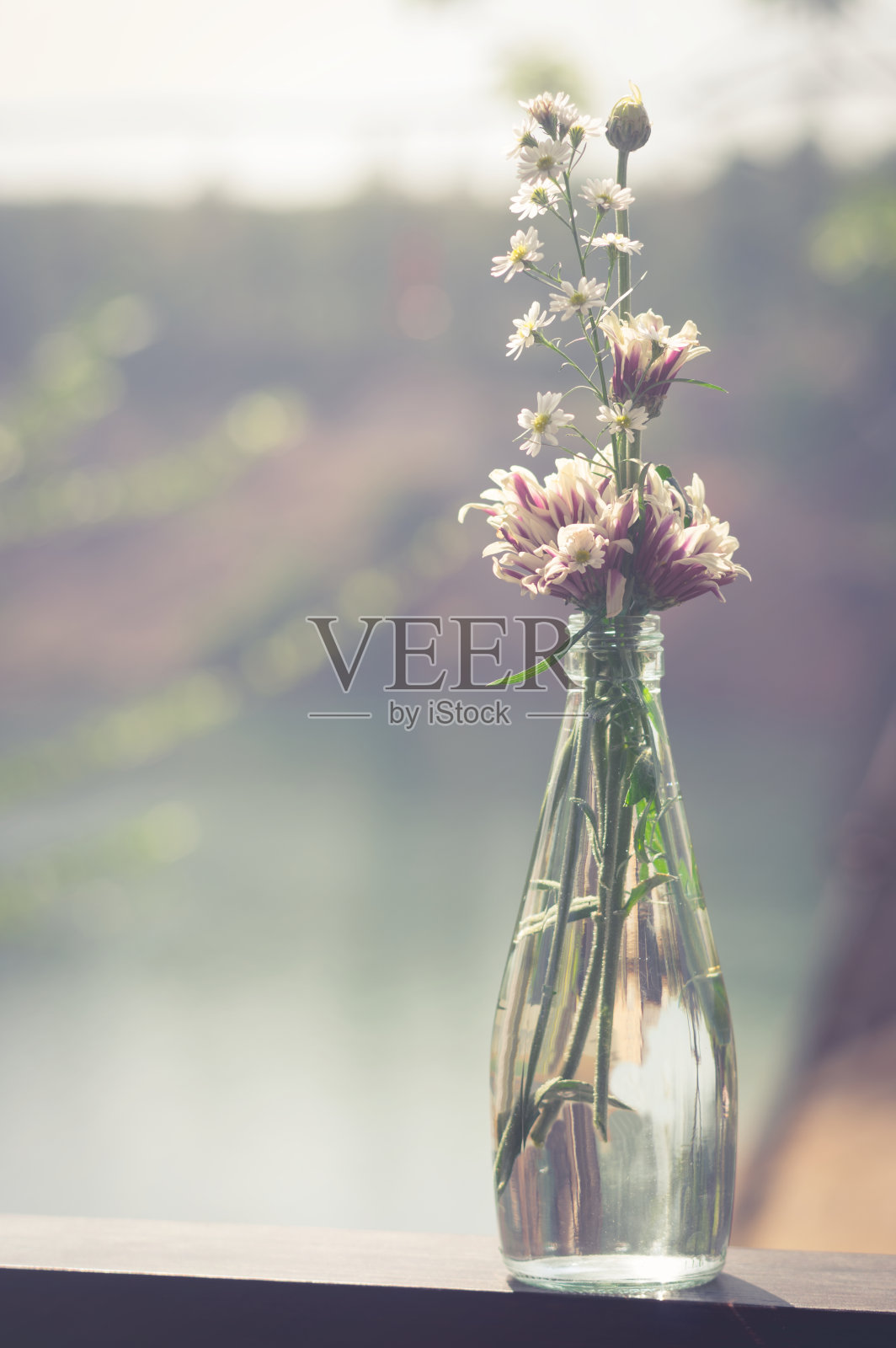 花在玻璃瓶，复古过滤。照片摄影图片