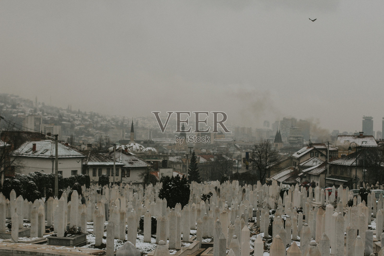 墓小队1 / 5照片摄影图片