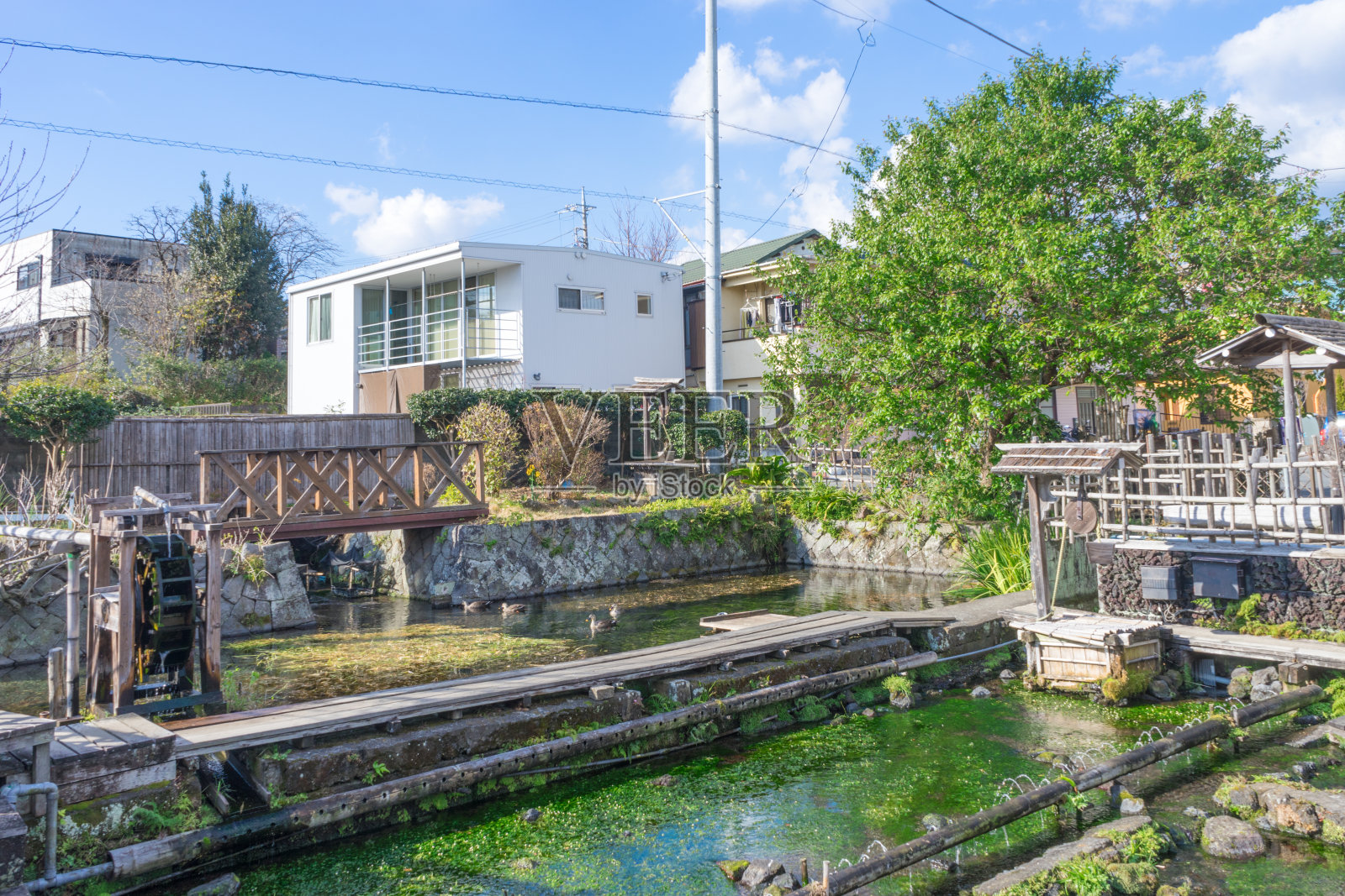 佐藤三岛照片摄影图片