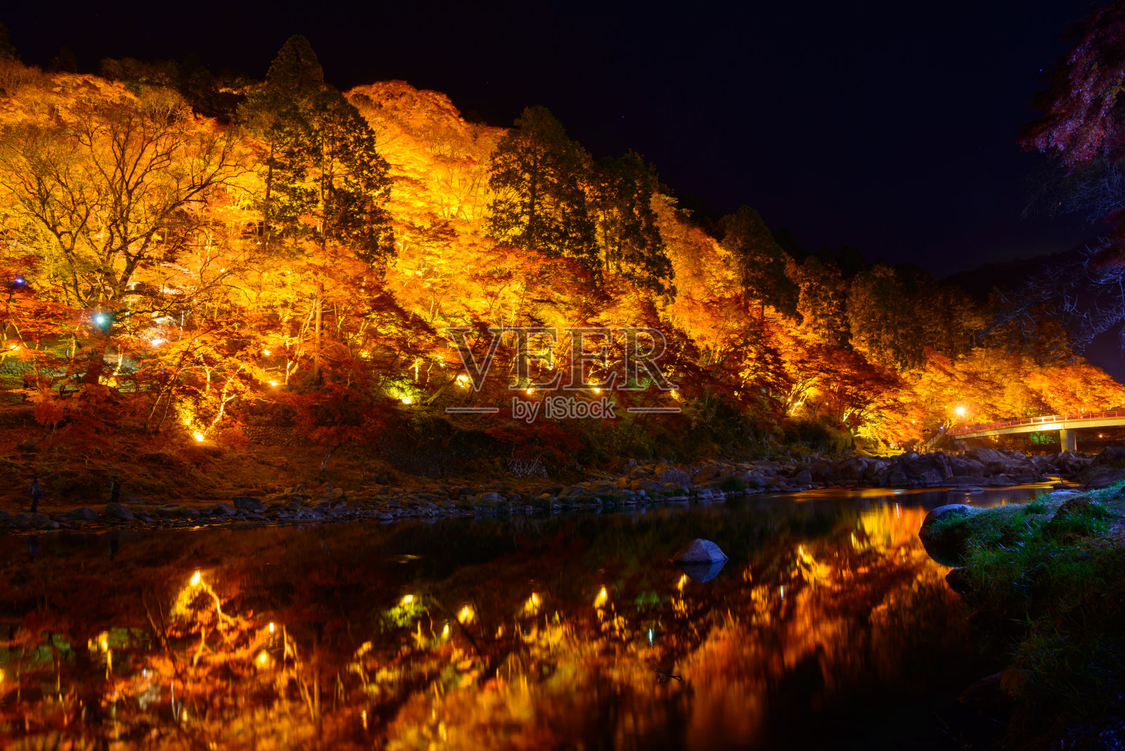 日本爱知县古兰经的秋叶照片摄影图片