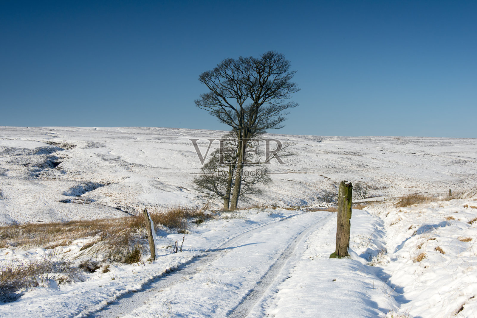冬天荒地景观照片摄影图片