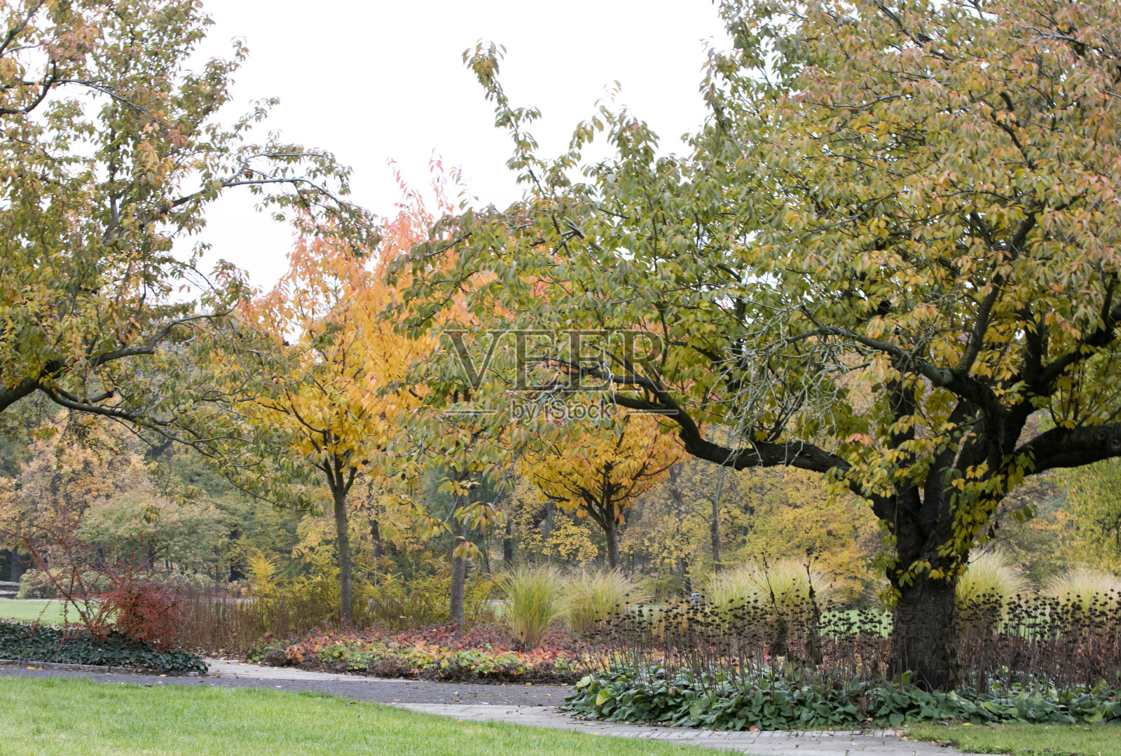 秋天照片摄影图片