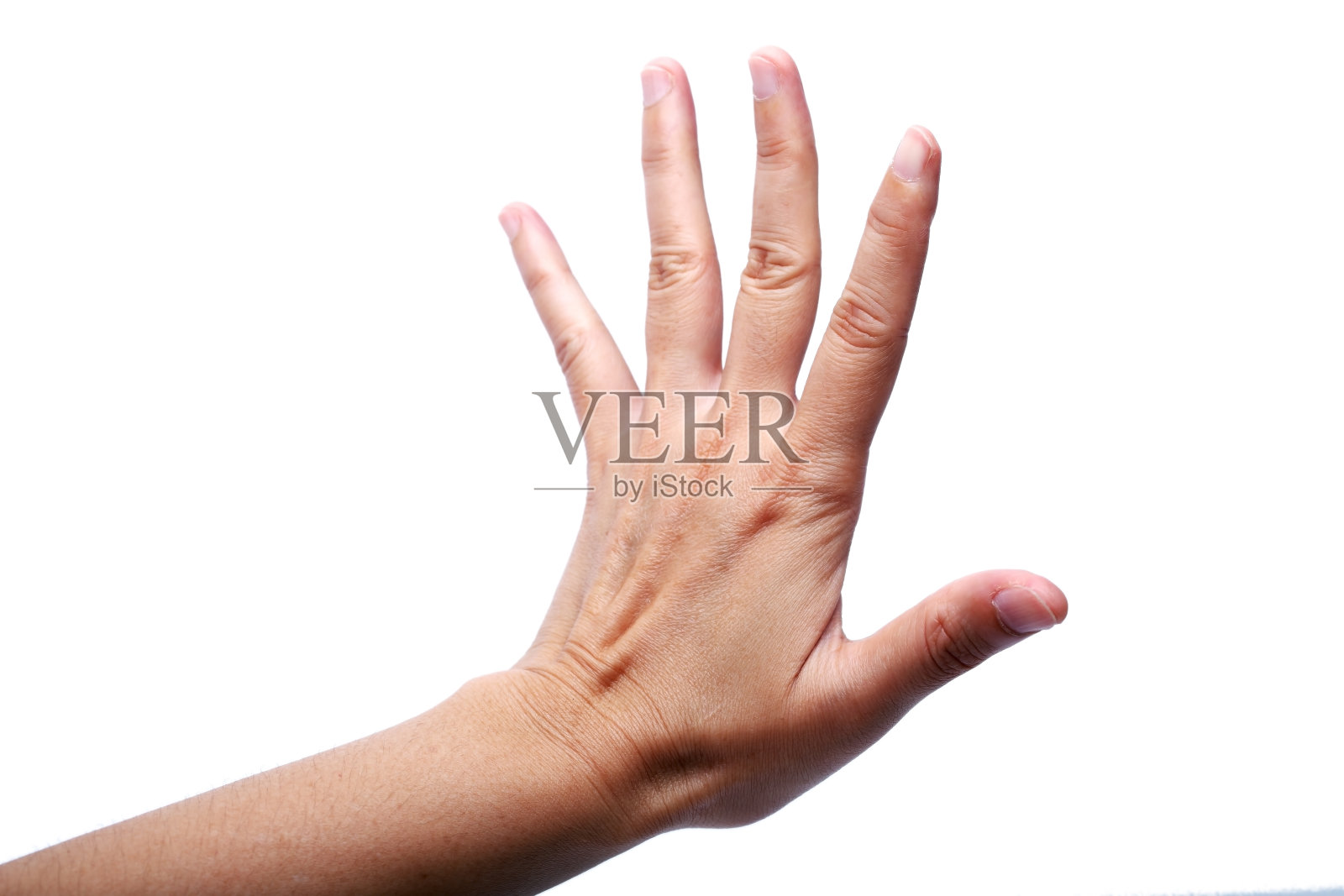 手势“停止”孤立在白色背景上。照片摄影图片