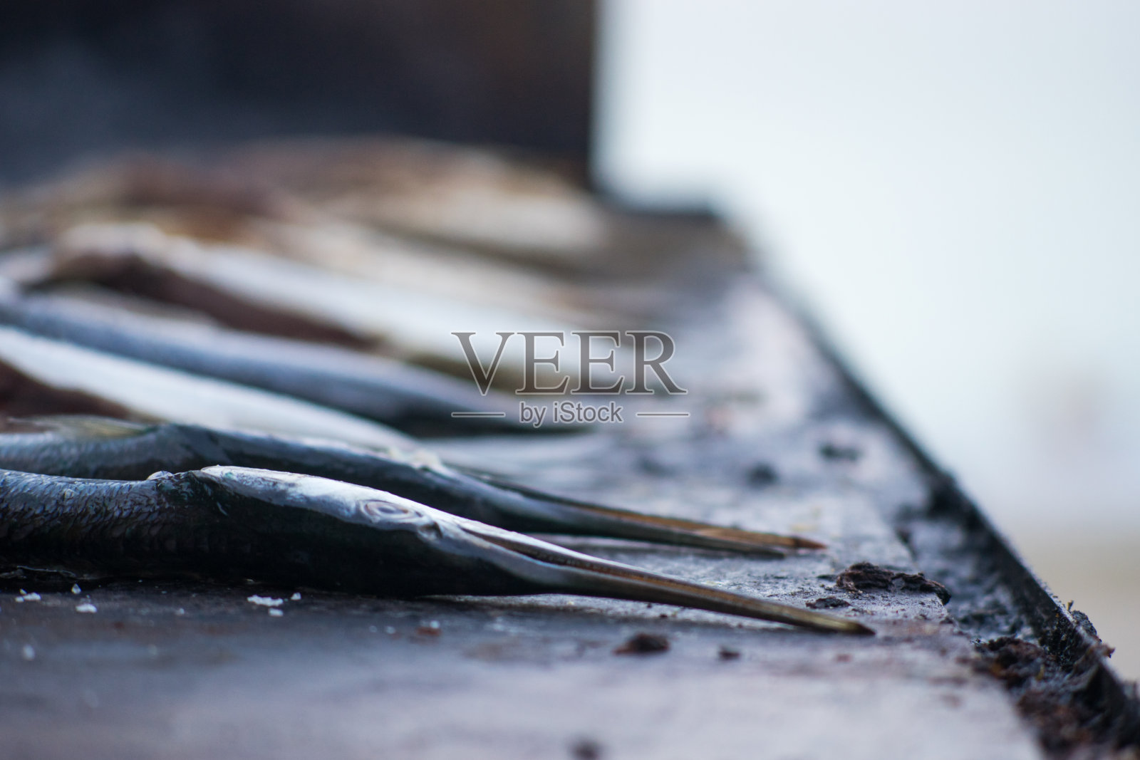 烤鱼(Belone Belone)照片摄影图片