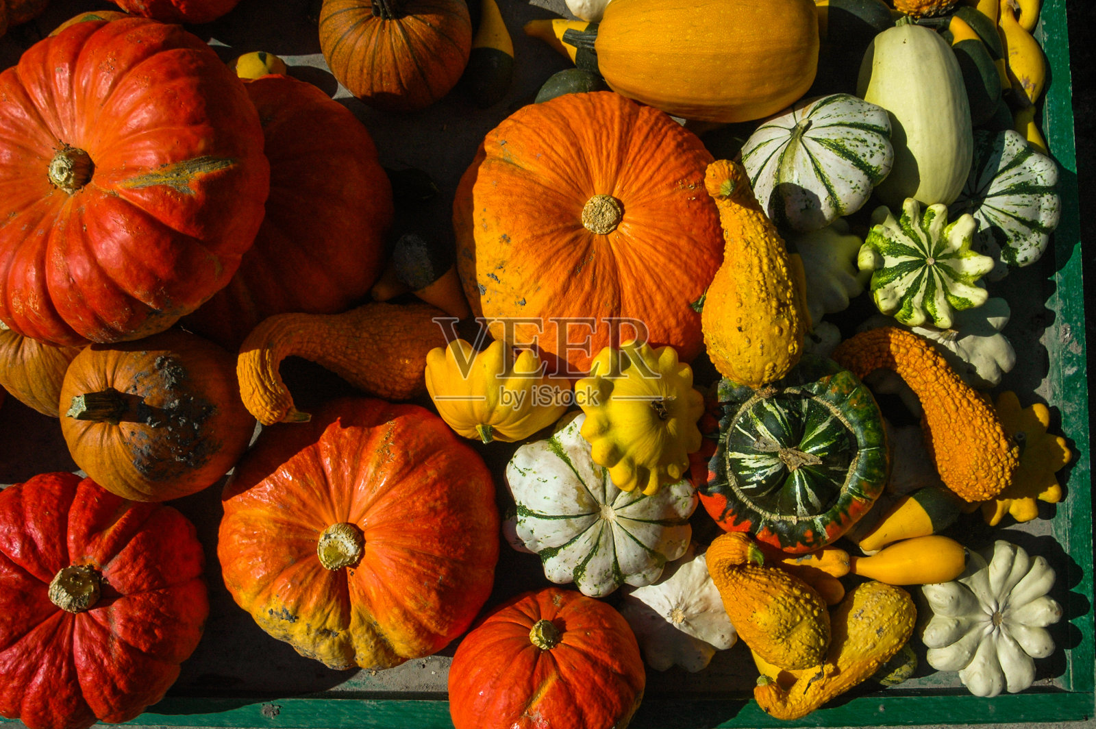 南瓜在布列塔尼照片摄影图片