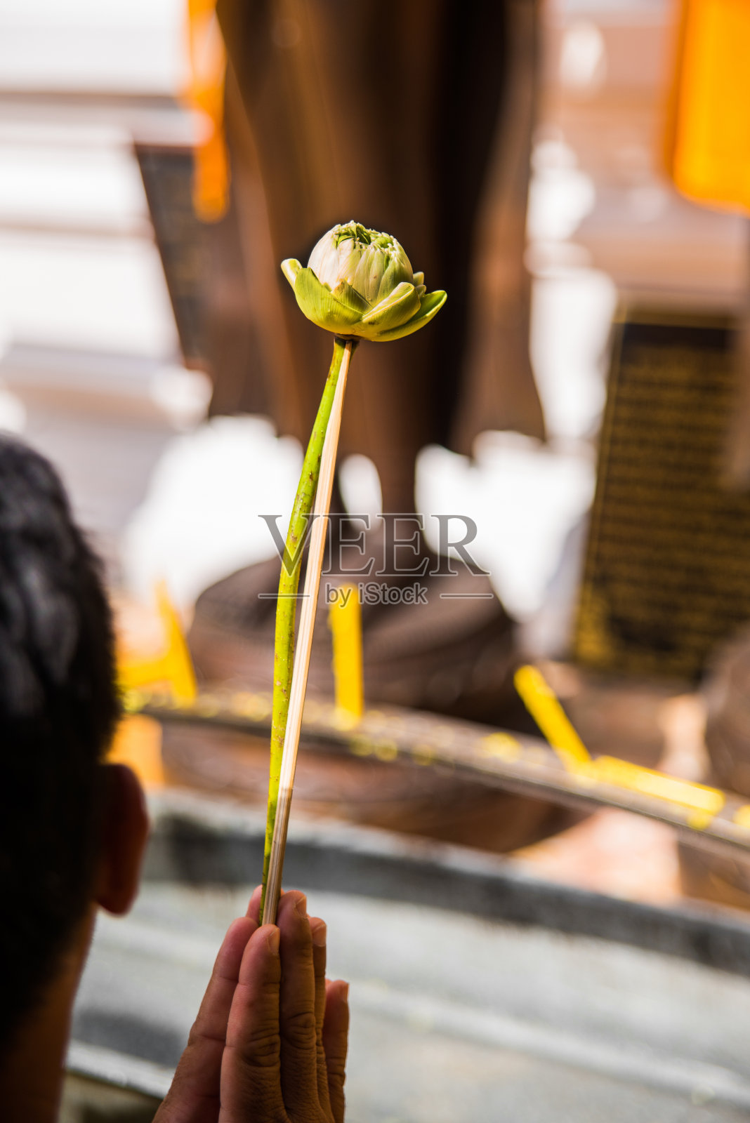 泰国佛寺，提供莲花的人照片摄影图片