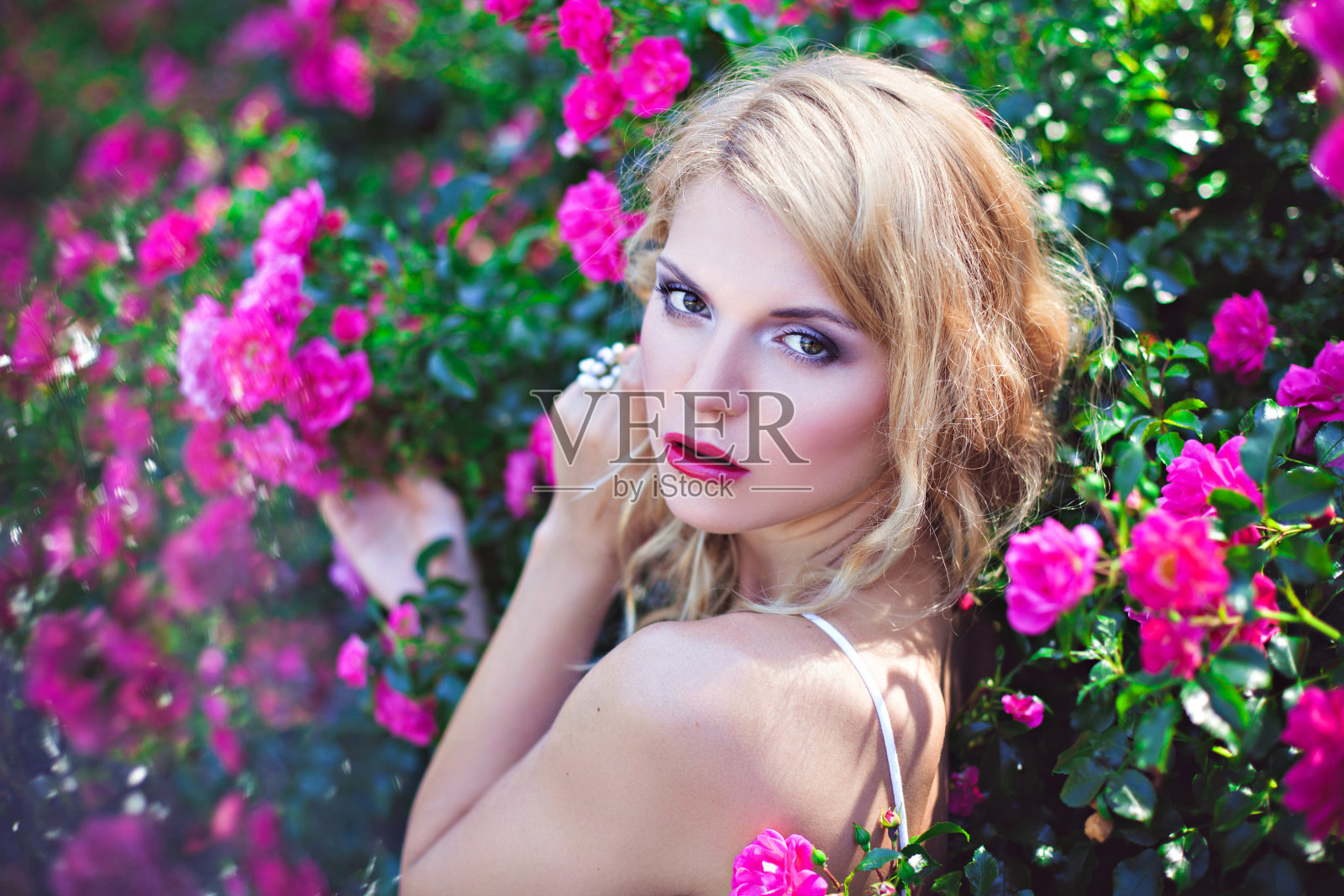 年轻女子近盛开的粉红色玫瑰丛的特写照片摄影图片