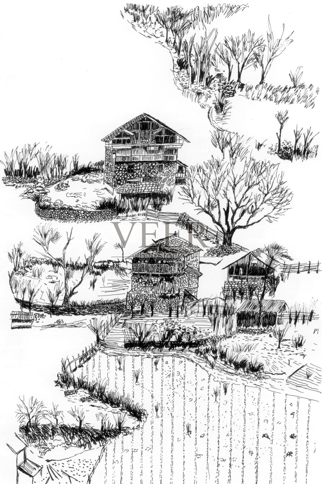 乡村及农田示意图插画图片素材