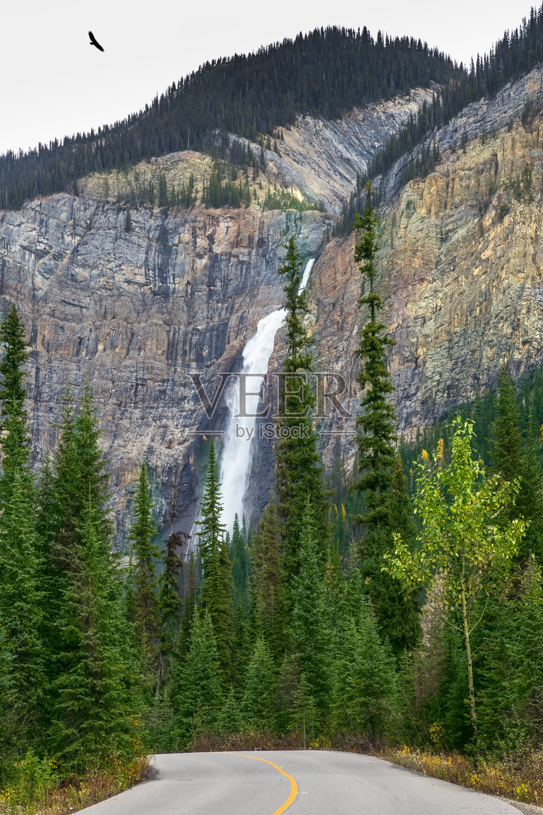 塔kakkaw瀑布照片摄影图片