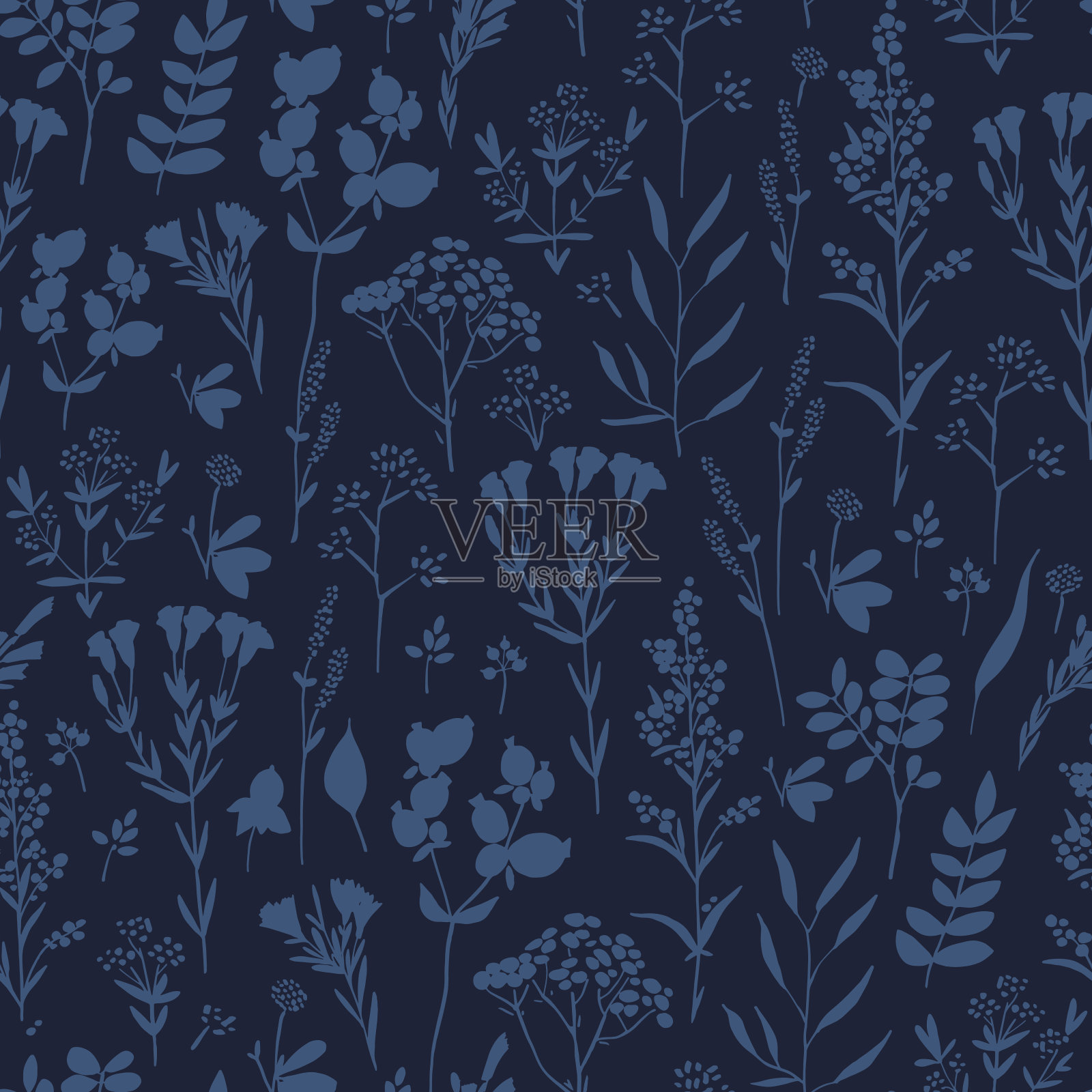 无缝手绘花卉图案与香草插画图片素材