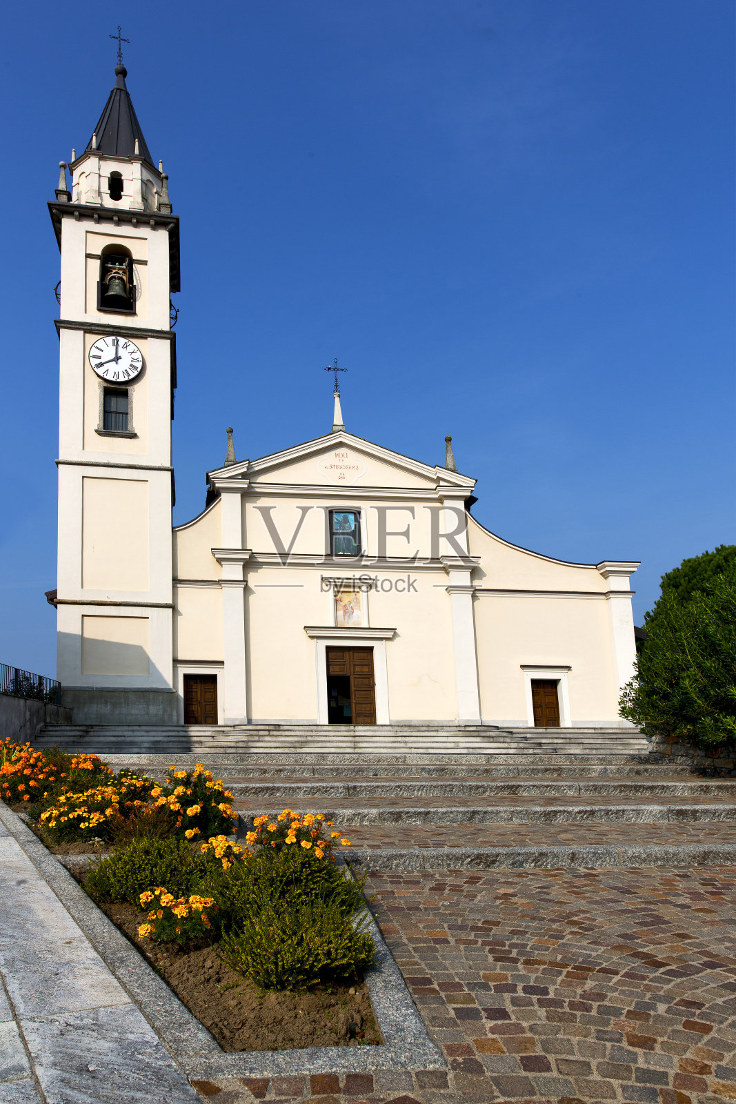 花的cadrezzate照片摄影图片