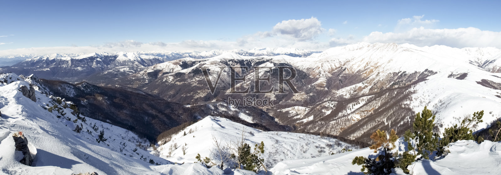 上面Fojorina照片摄影图片