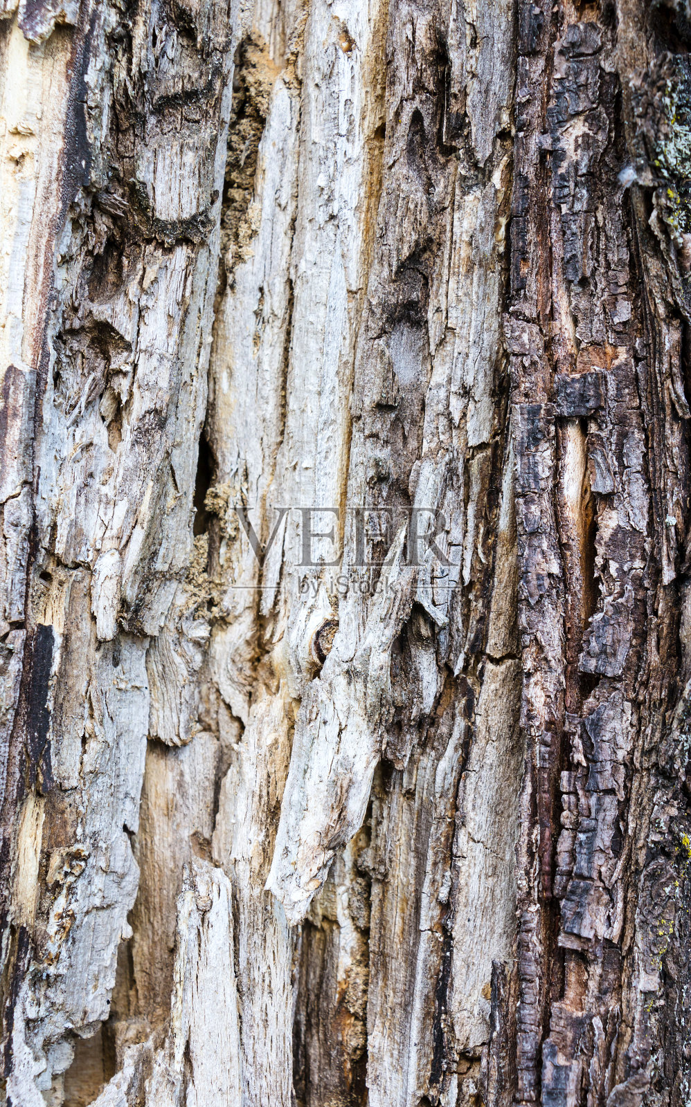 木头的背景照片摄影图片